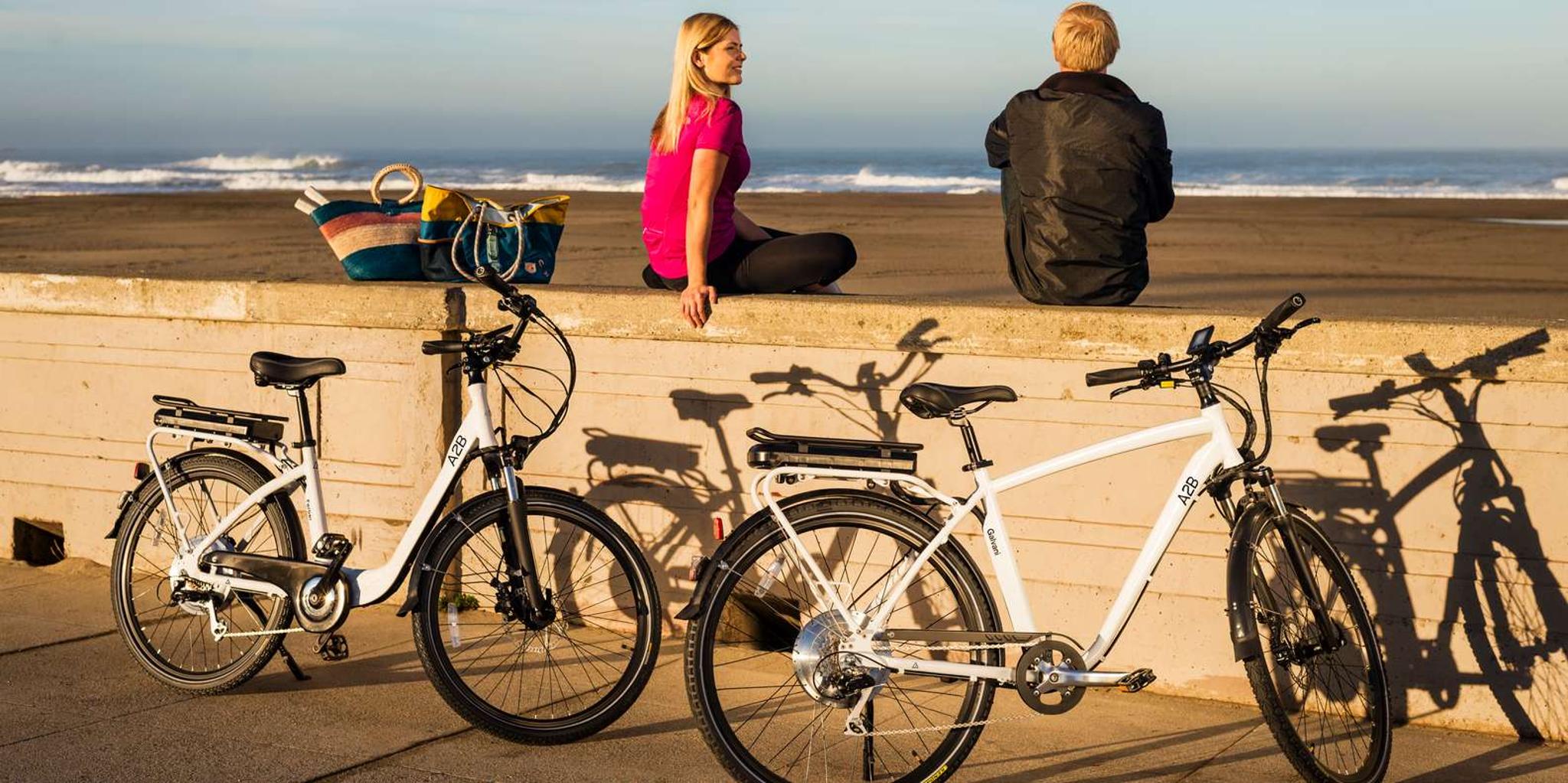 San Francisco E-Bike Tour and Rental - Image 4