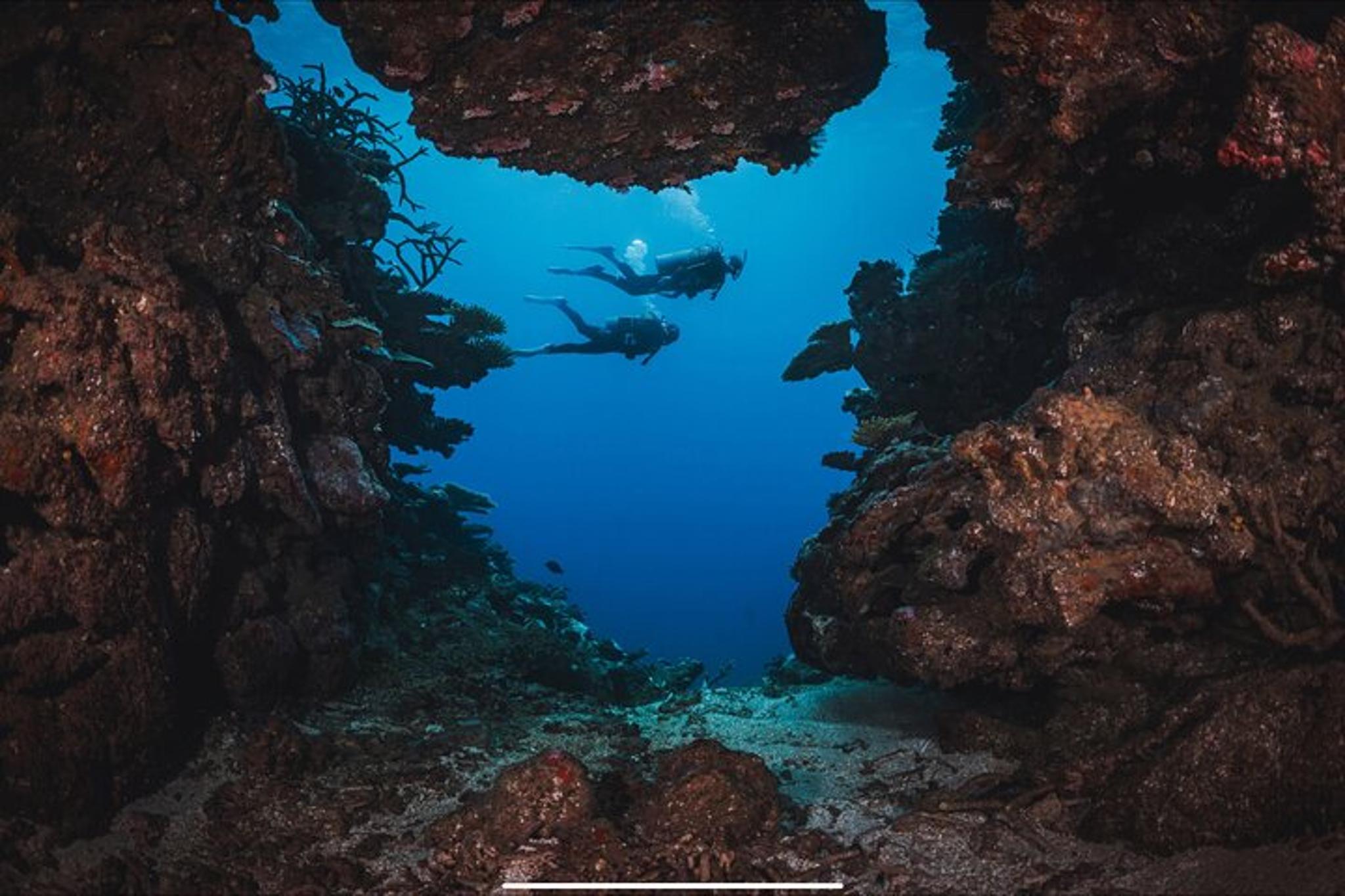 Waikiki Wreck and Reef Dive - Image 5