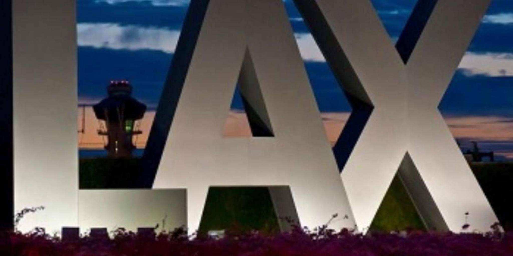 Los Angeles Private Transfer - Image 3