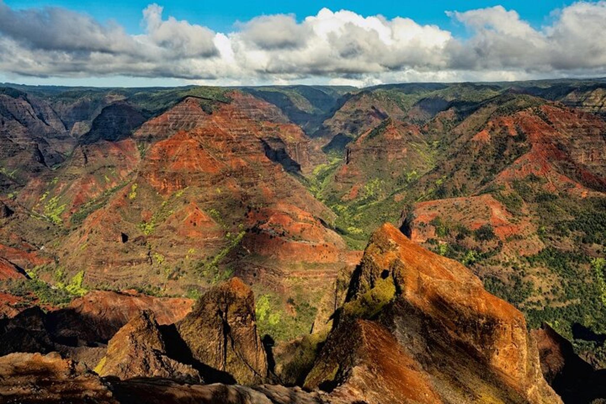 Kauai Waimea Canyon Private Tour