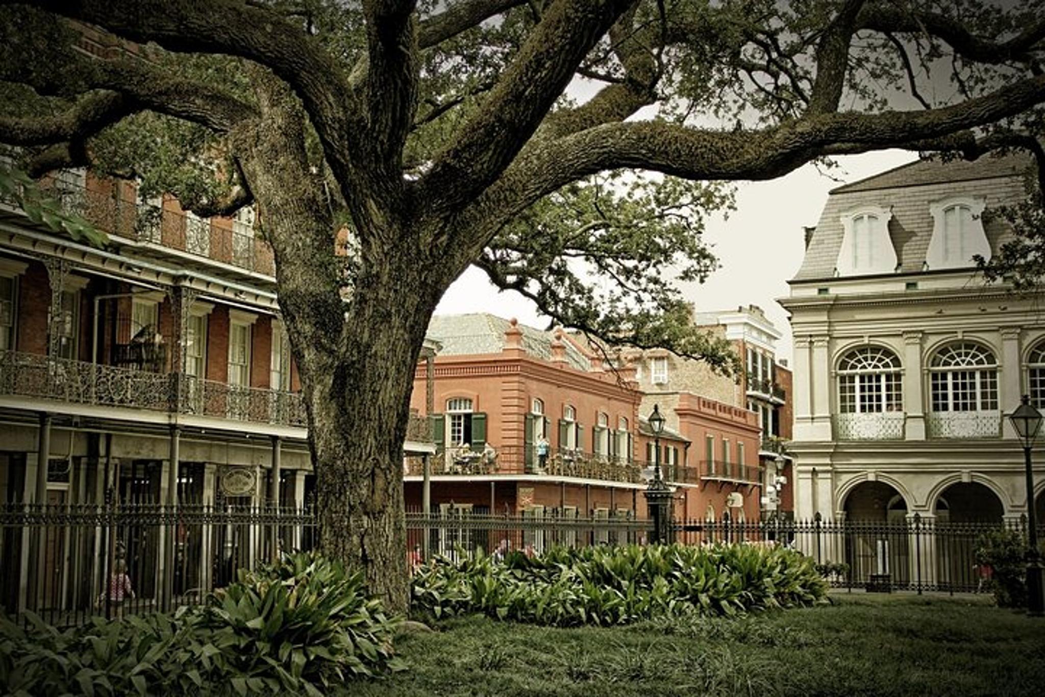 New Orleans Walking Tour in the Lower French Quarter - Image 2
