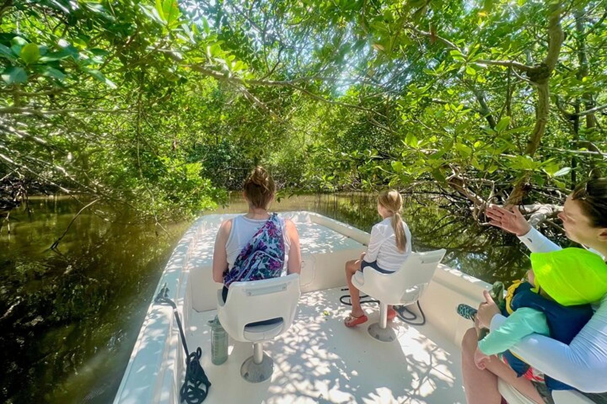Everglades Mangrove Wilderness Boat Tour - Image 2