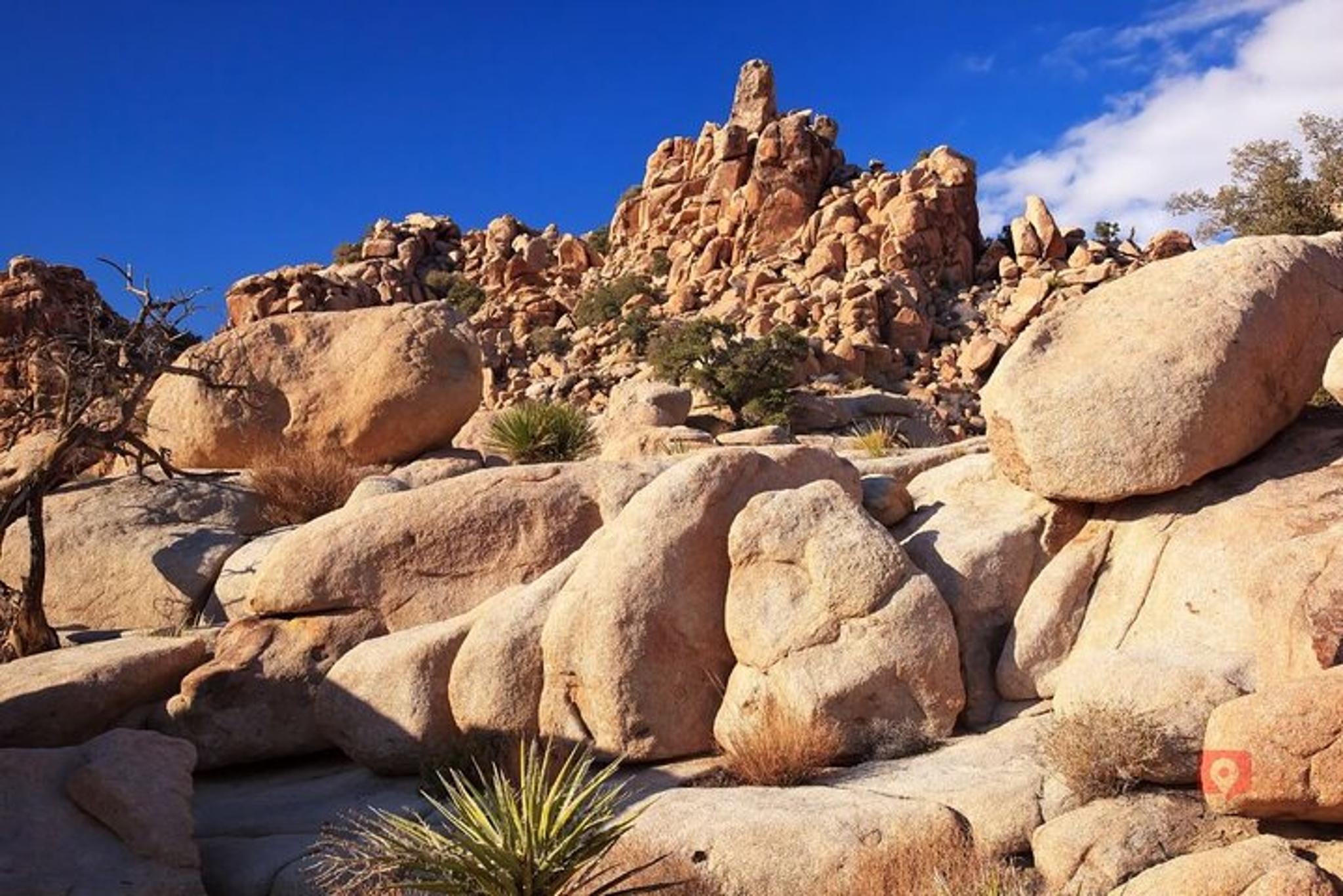 Joshua Tree National Park Self-Guided Audio Tour - Image 6