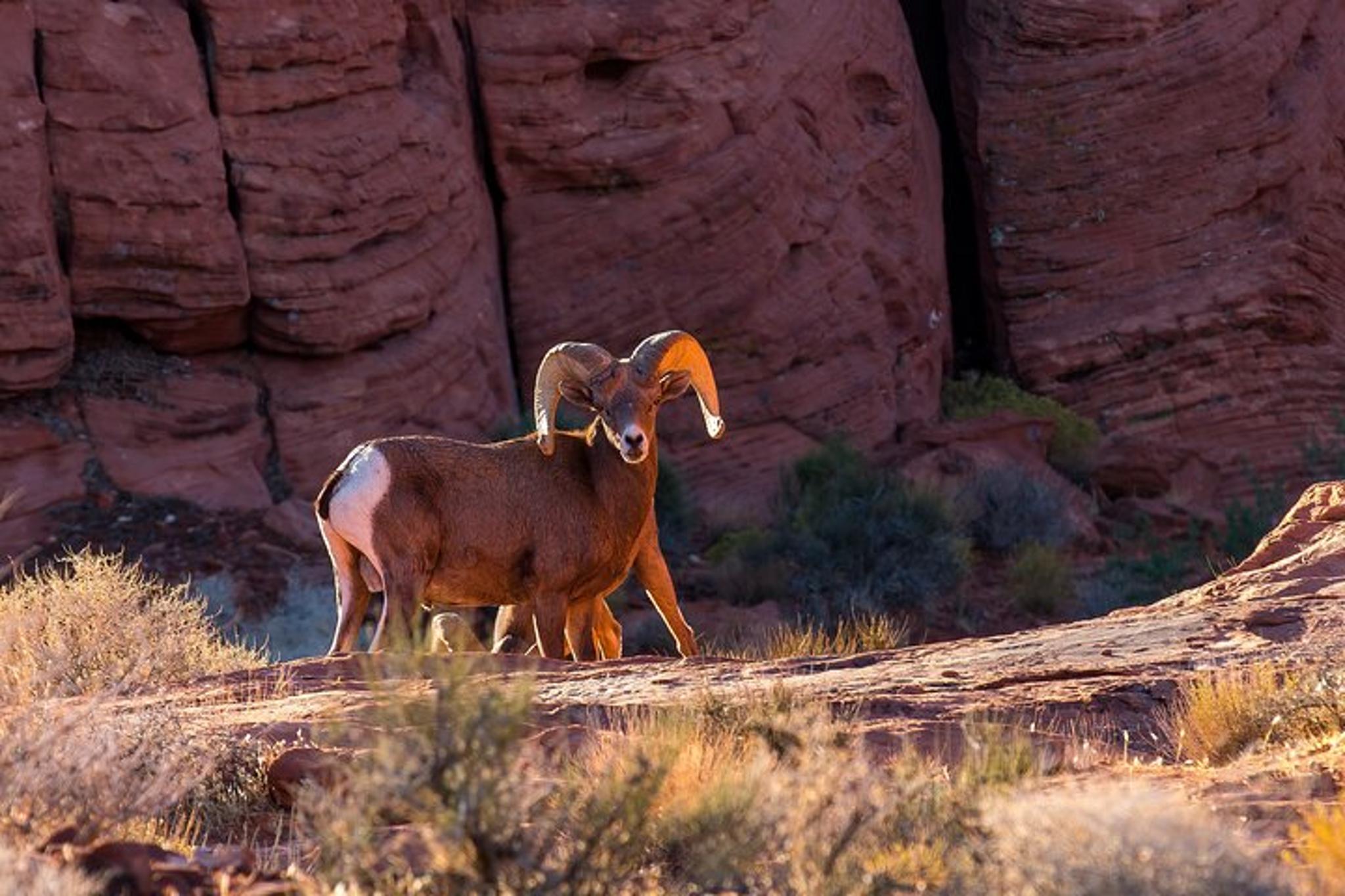 Las Vegas Grand Canyon Tour with Hoover Dam - Image 6