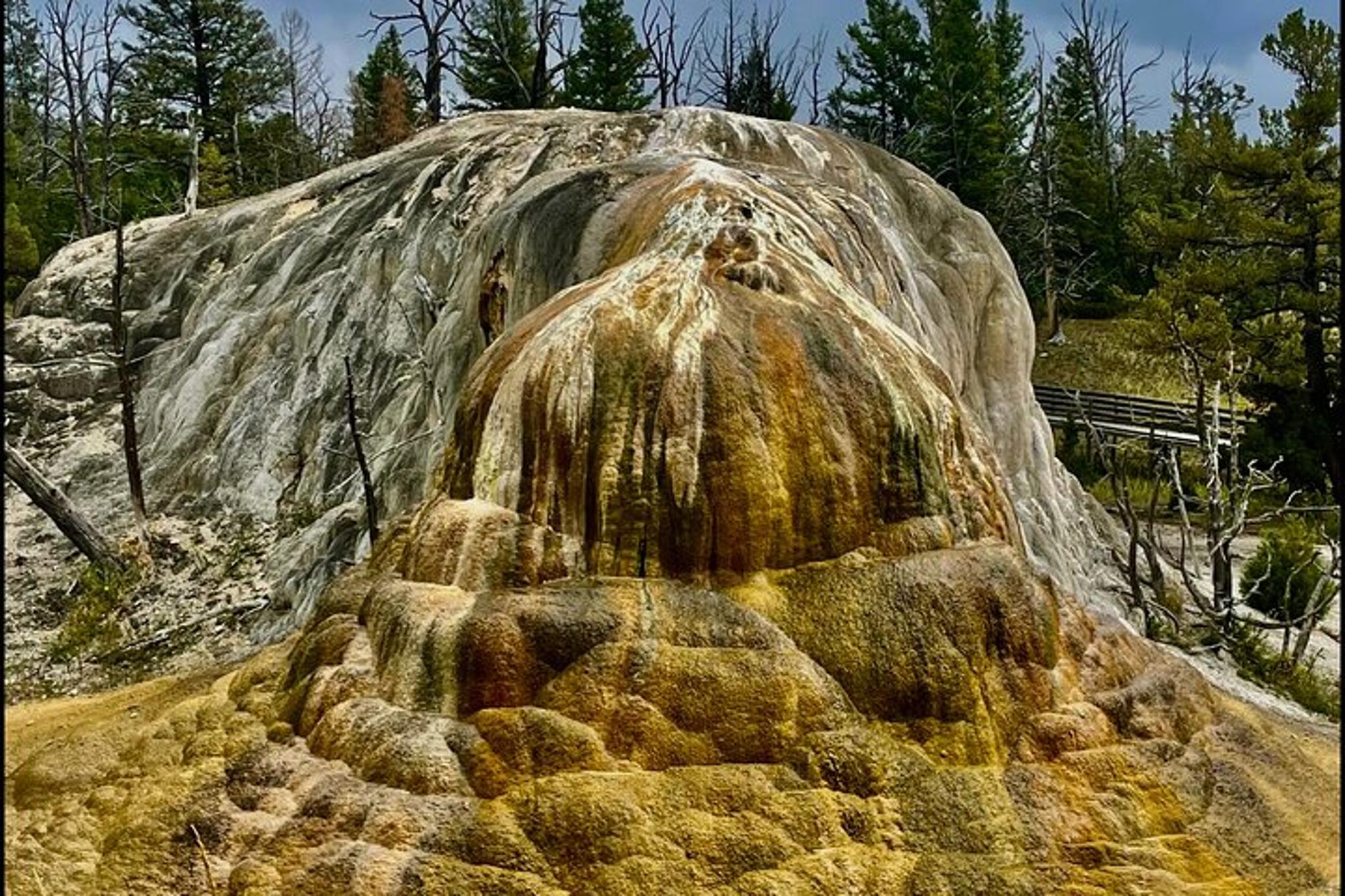 Cody Yellowstone Wildlife and Photo Tour Upper Loop - Image 4