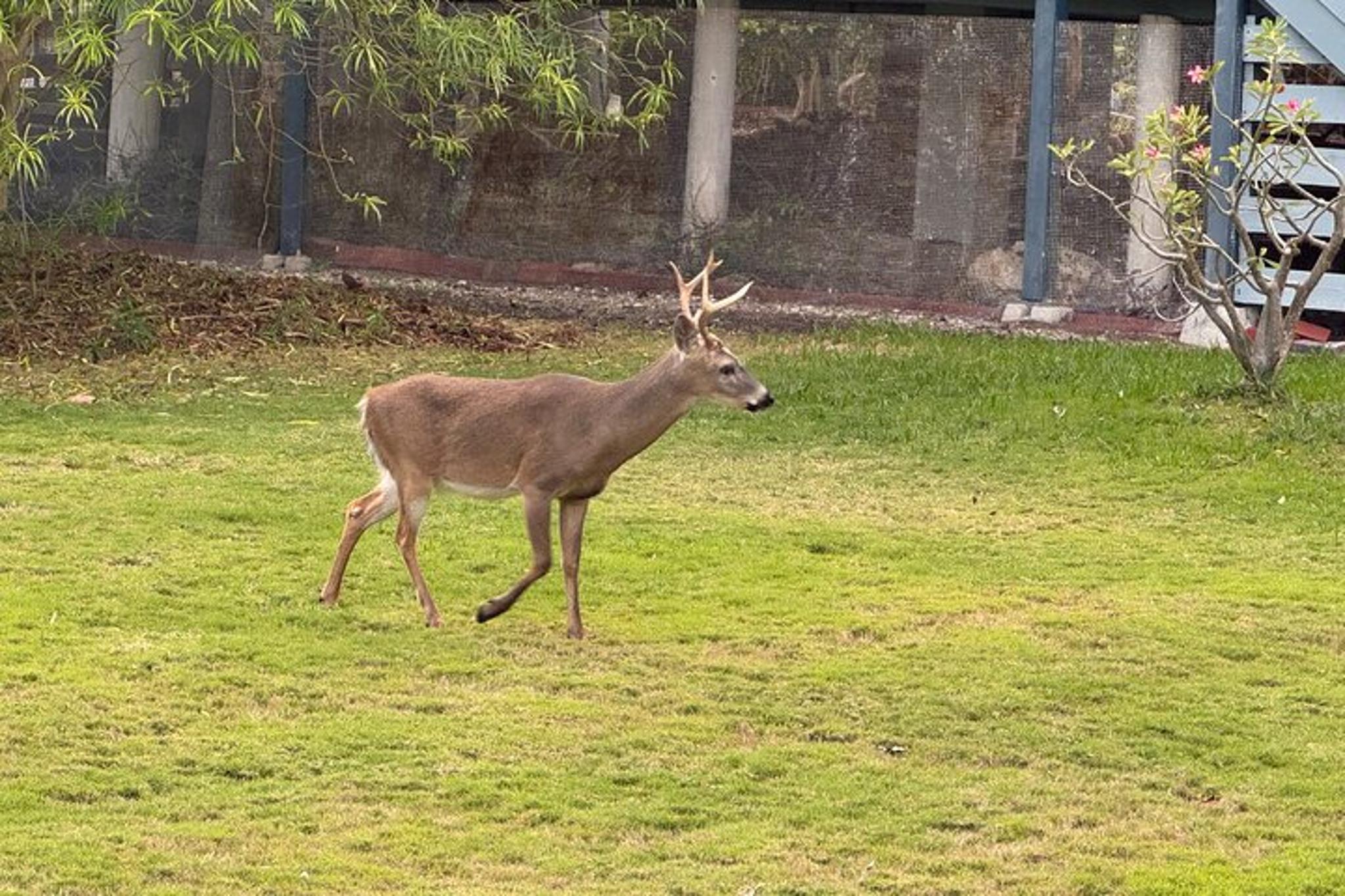 Miami to Key West Full-Day Tour - Image 6