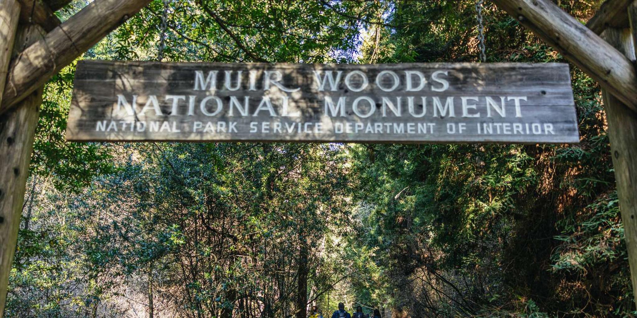 San Francisco Muir Woods and Sausalito Bay Cruise - Image 4