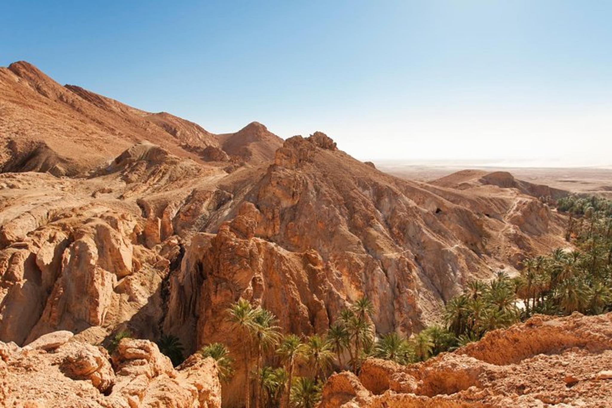 Palm Springs Indian Canyons Jeep Hiking Tour - Image 2
