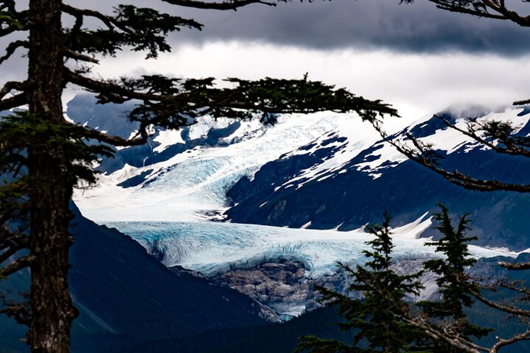 Anchorage Wilderness Photo Tour
