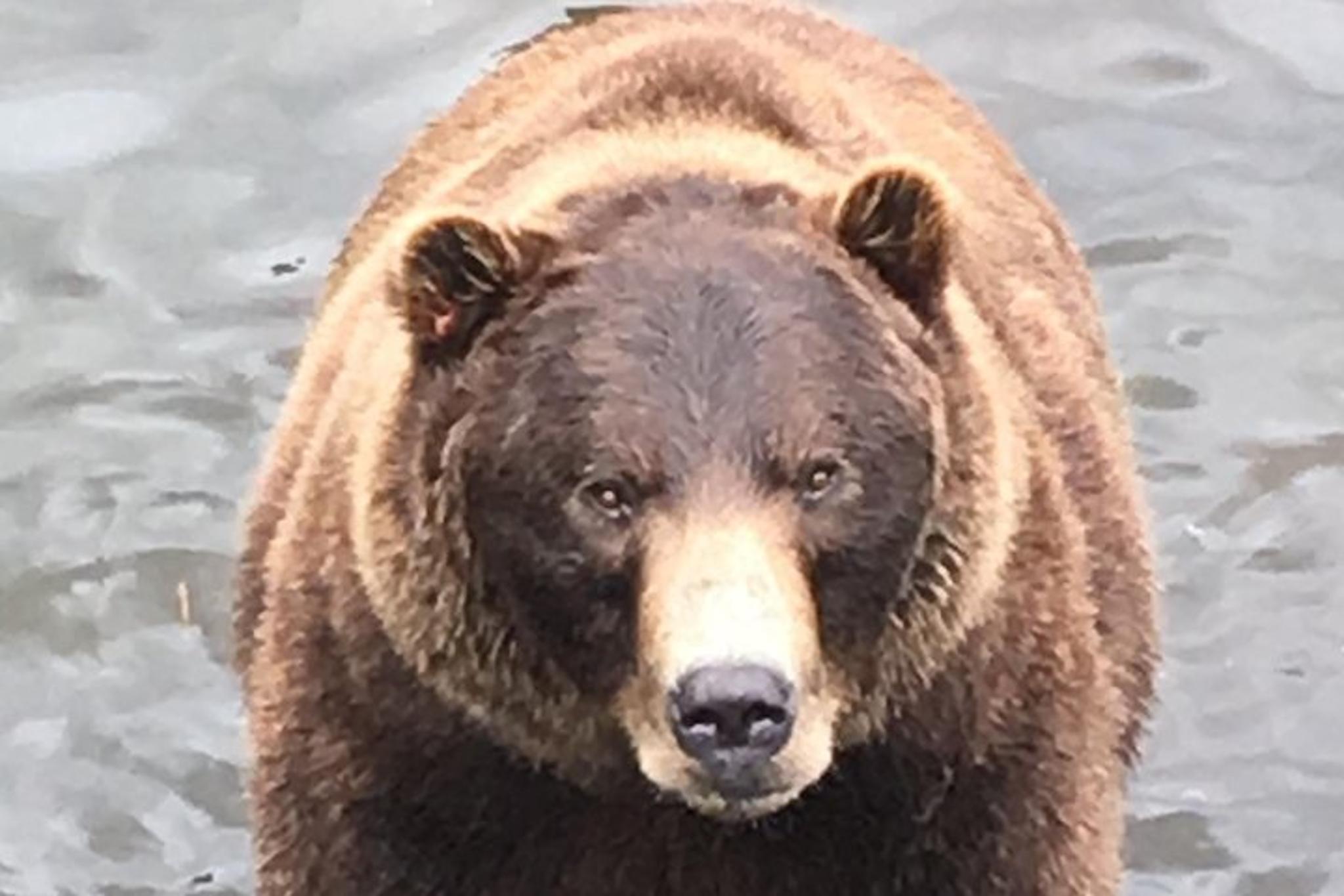 Sitka Private Tour - Image 2