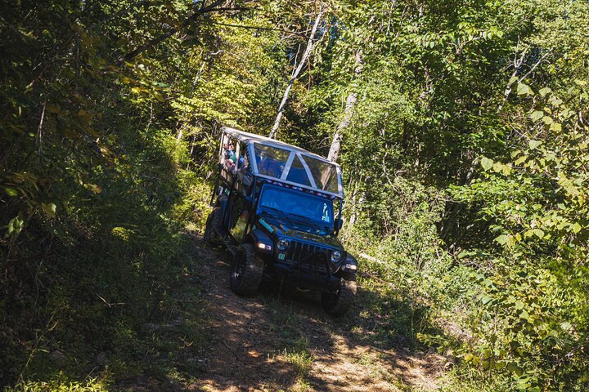 Pigeon Forge Newfound Gap Jeep Tour - Image 2