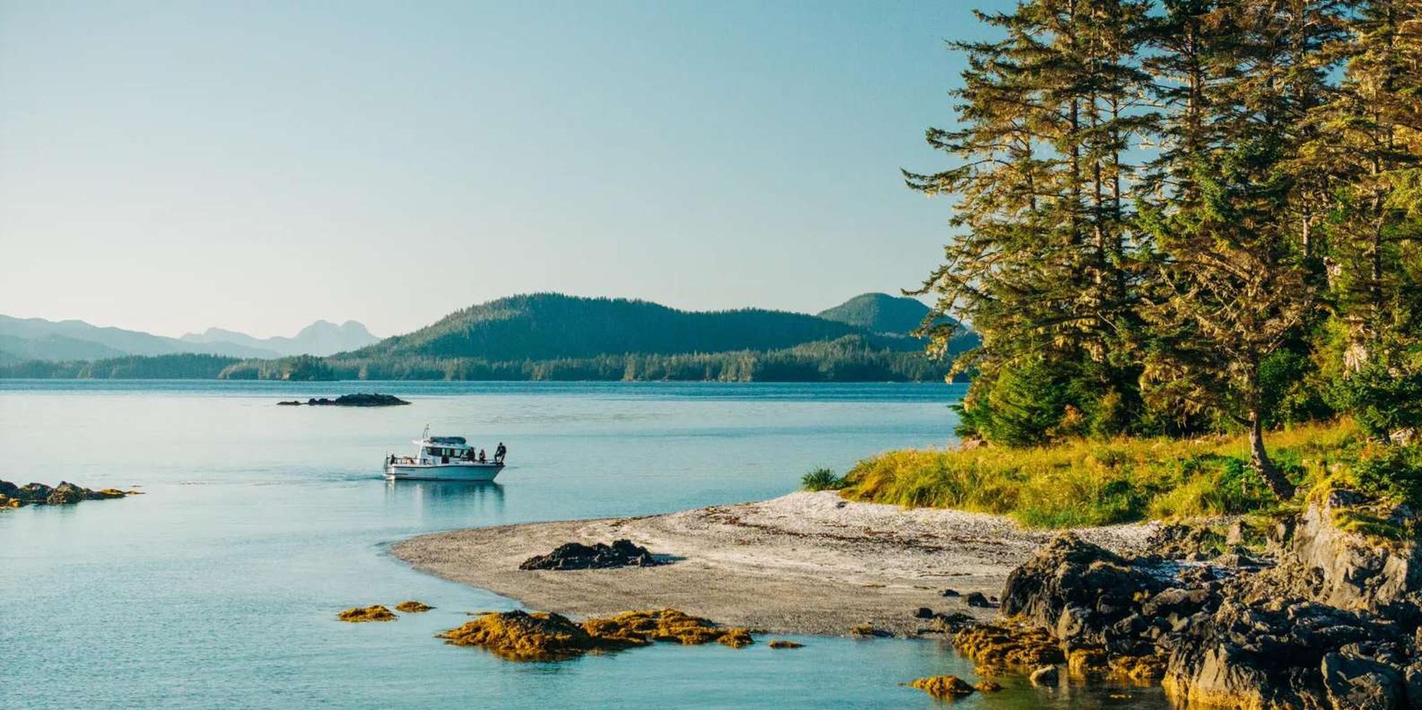 Sitka Wildlife Adventure