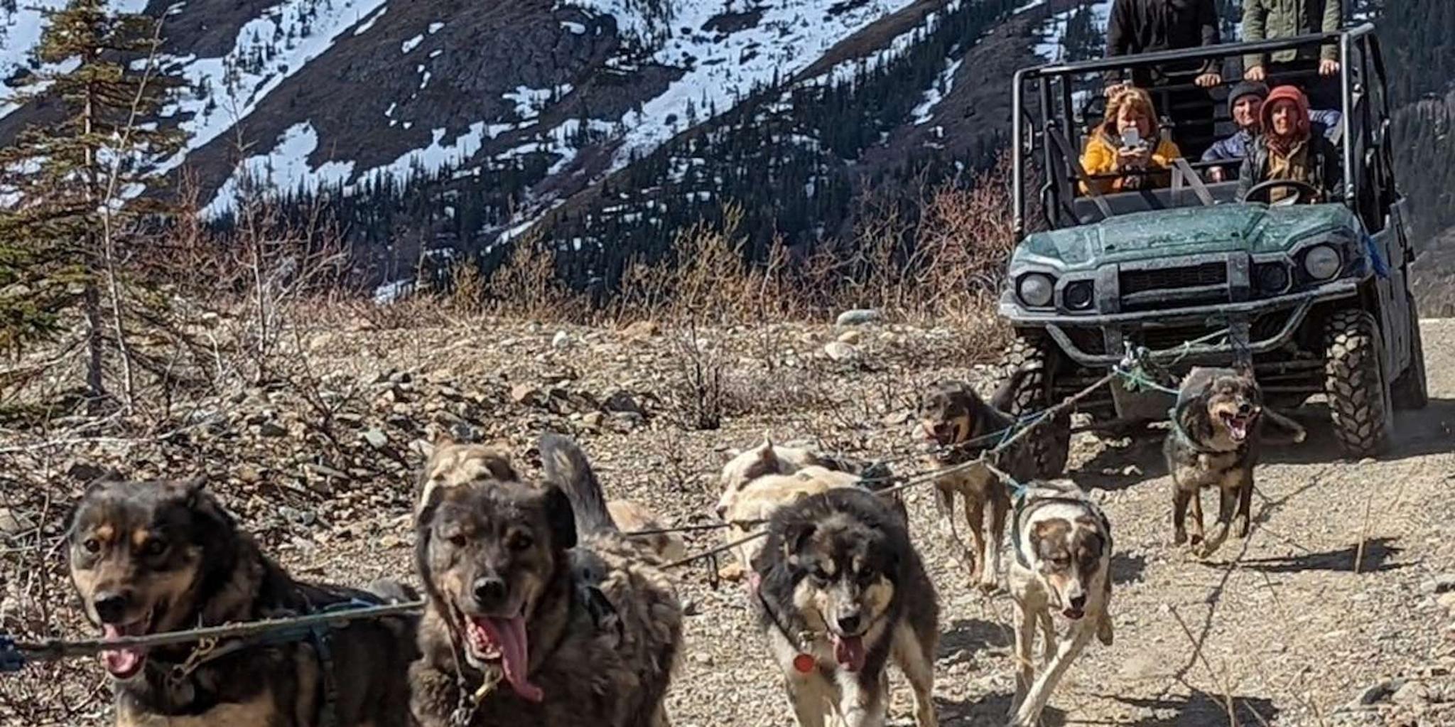 Skagway Yukon Sled Dog Mushing & White Pass Tour