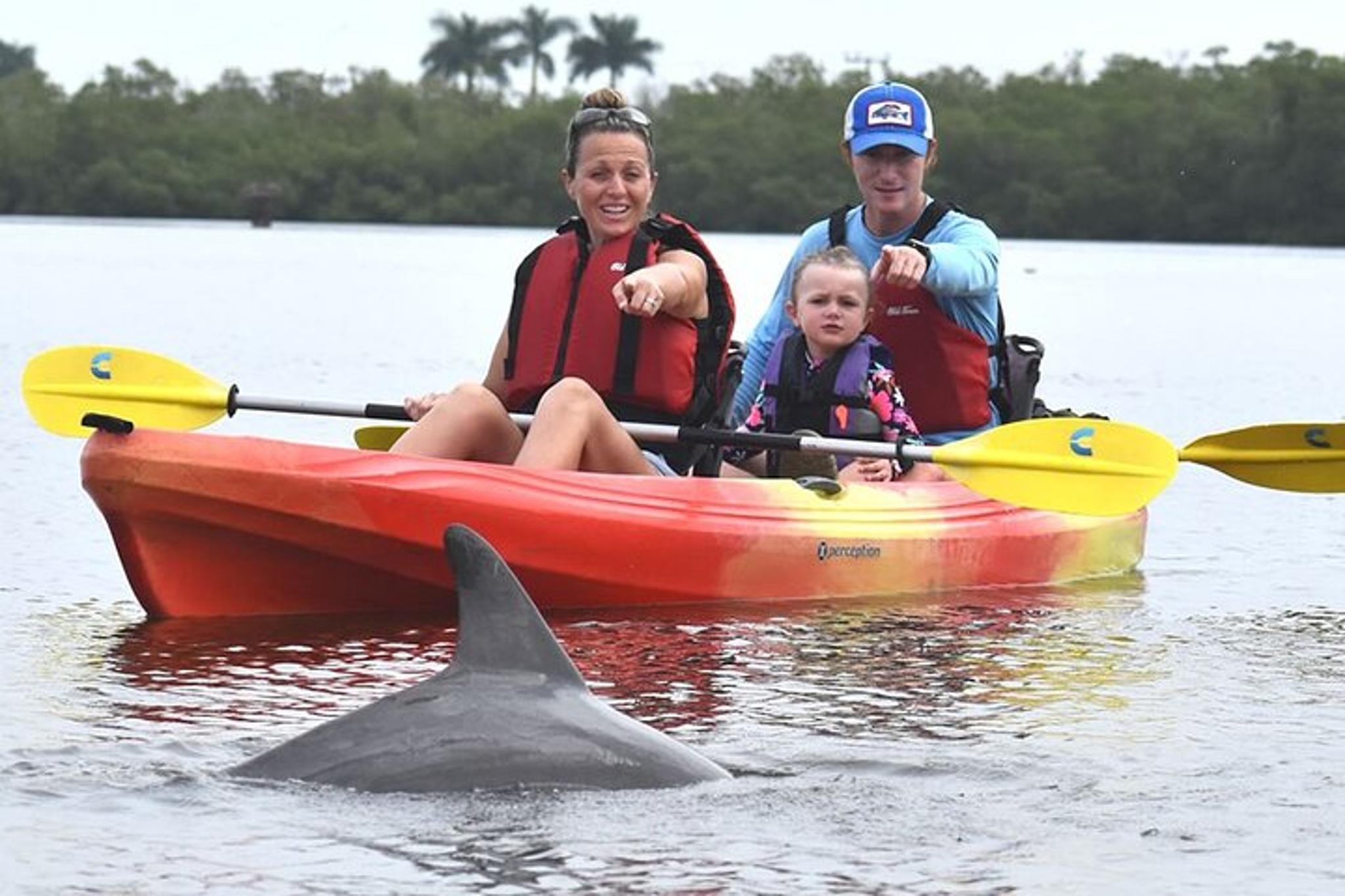 Marco Island Mangrove Kayak Tour with Photographer - Image 2