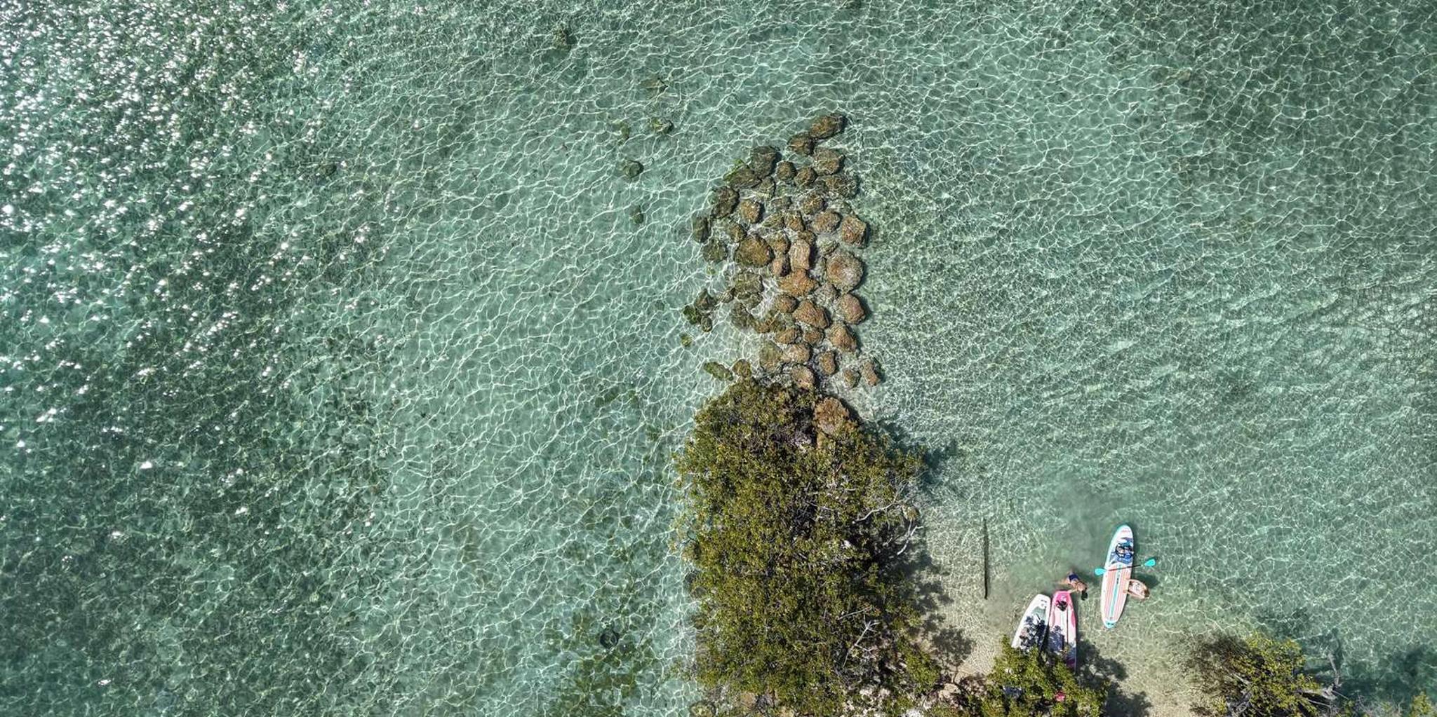 Miami Wildlife Cruise and Raccoon Island Walk - Image 4