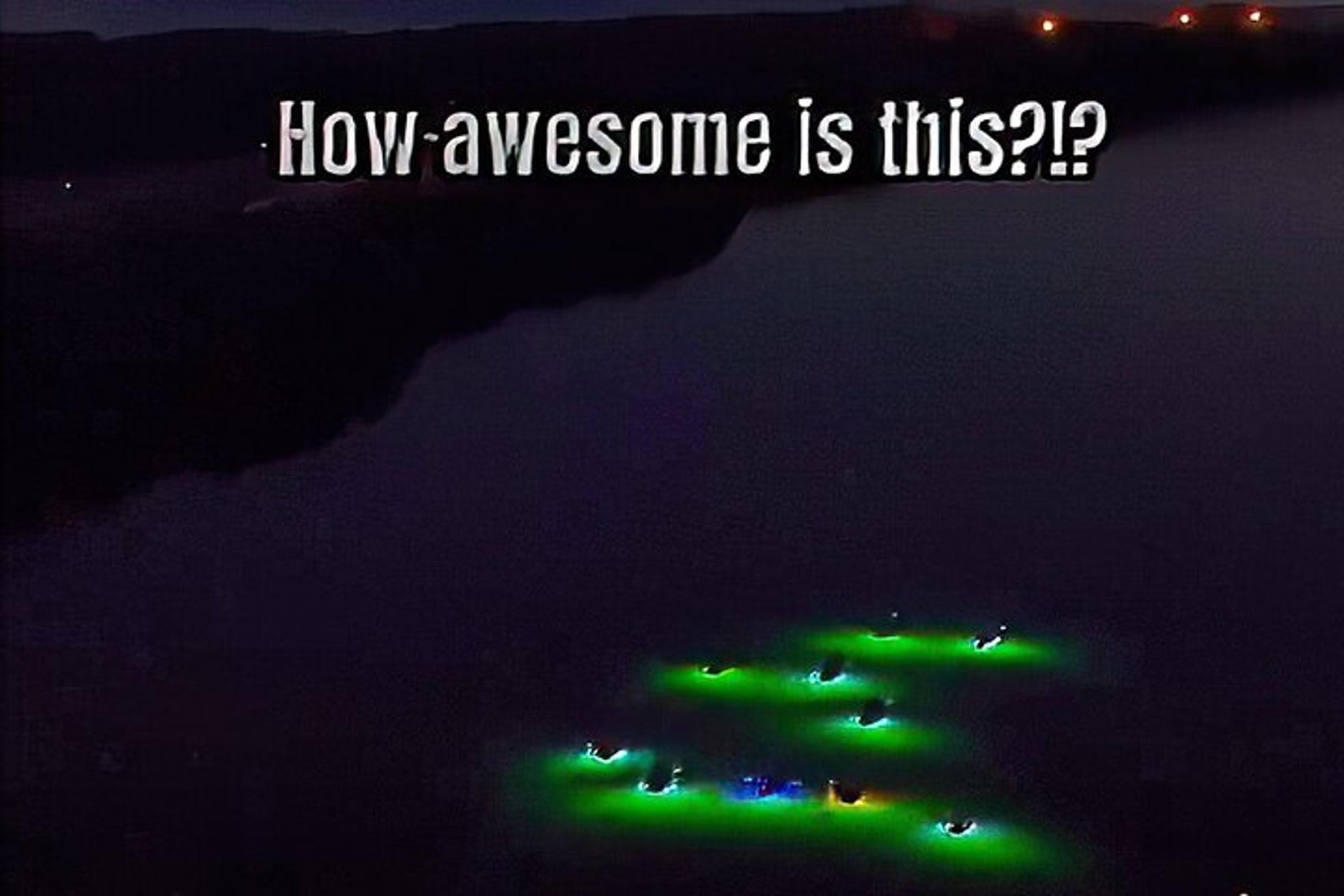Tierra Verde Clear Kayak LED Night Tour - Image 5