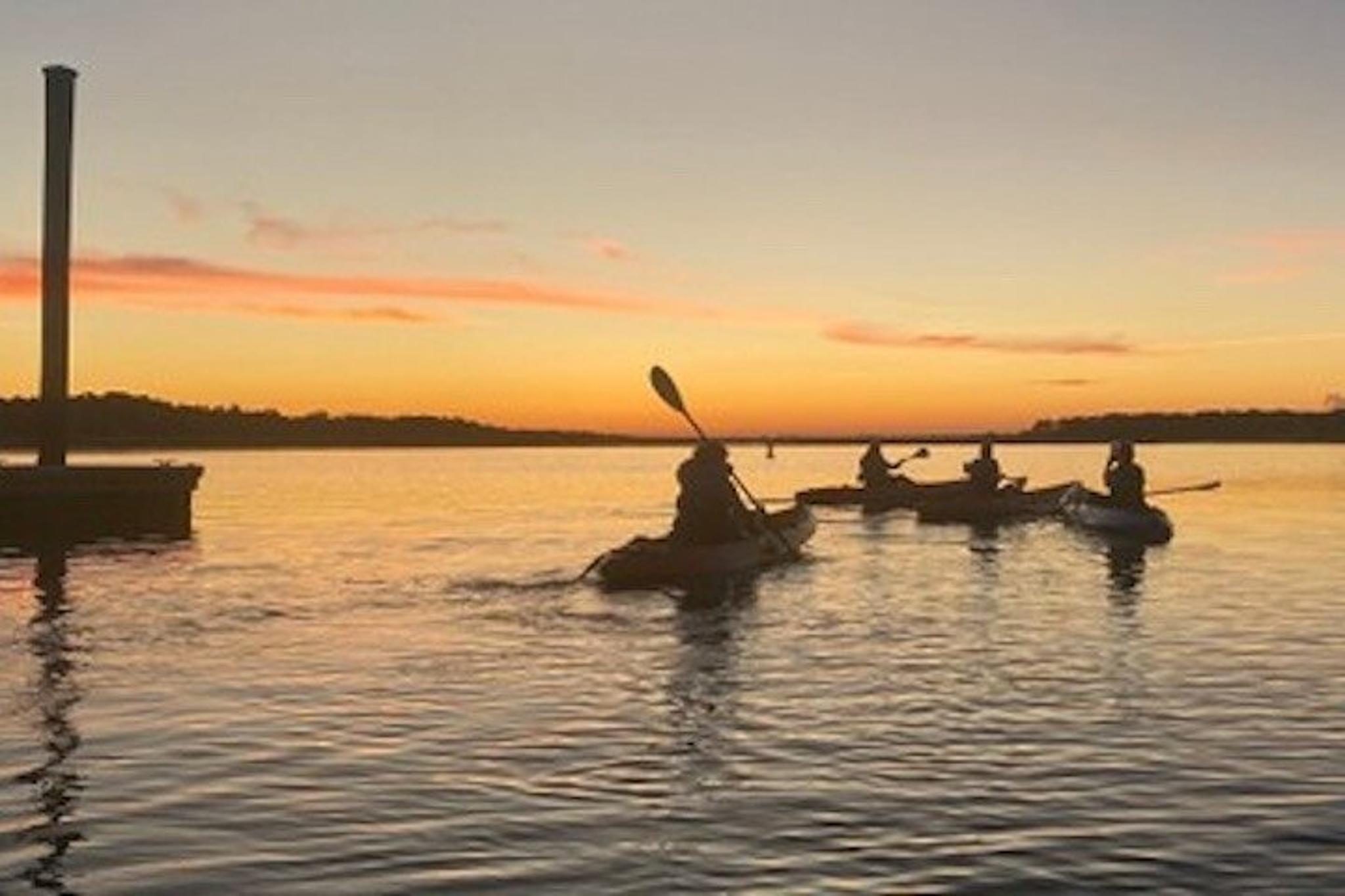 Hilton Head Kayaking Tour with Coffee 90 min - Image 2