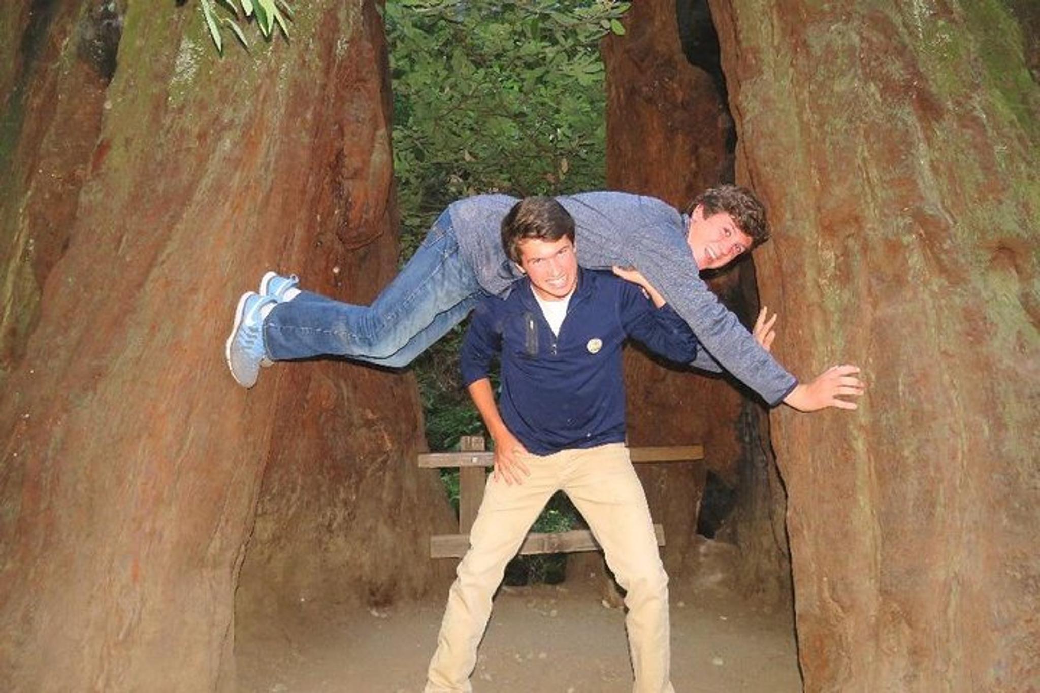 San Francisco Muir Woods & Sausalito Private Tour - Image 1