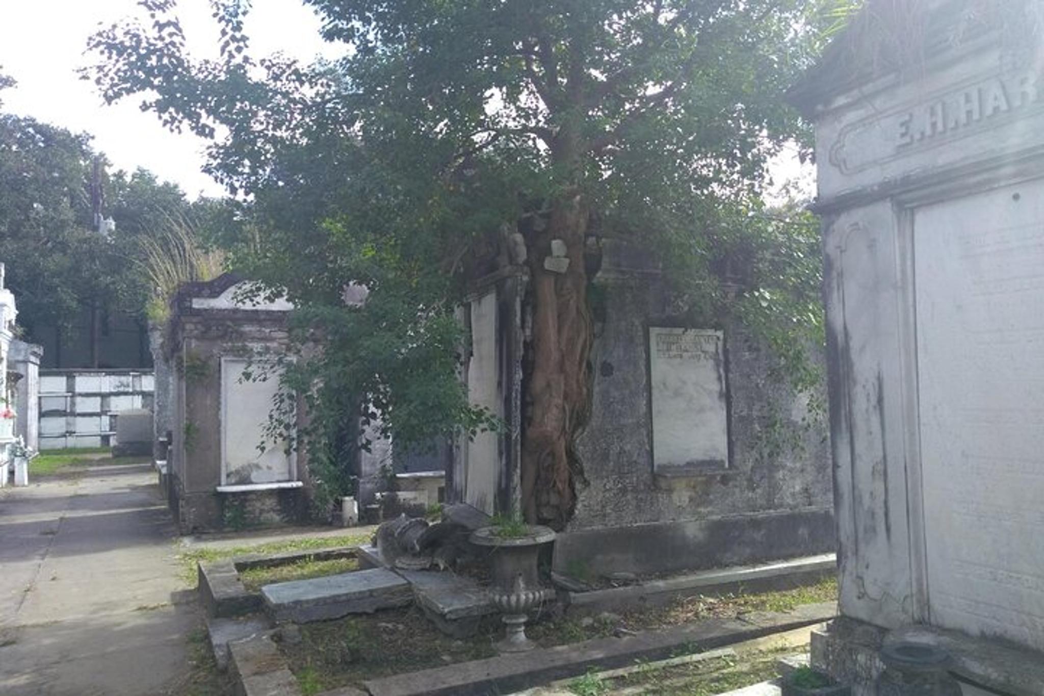 New Orleans Garden District Tour - Image 3