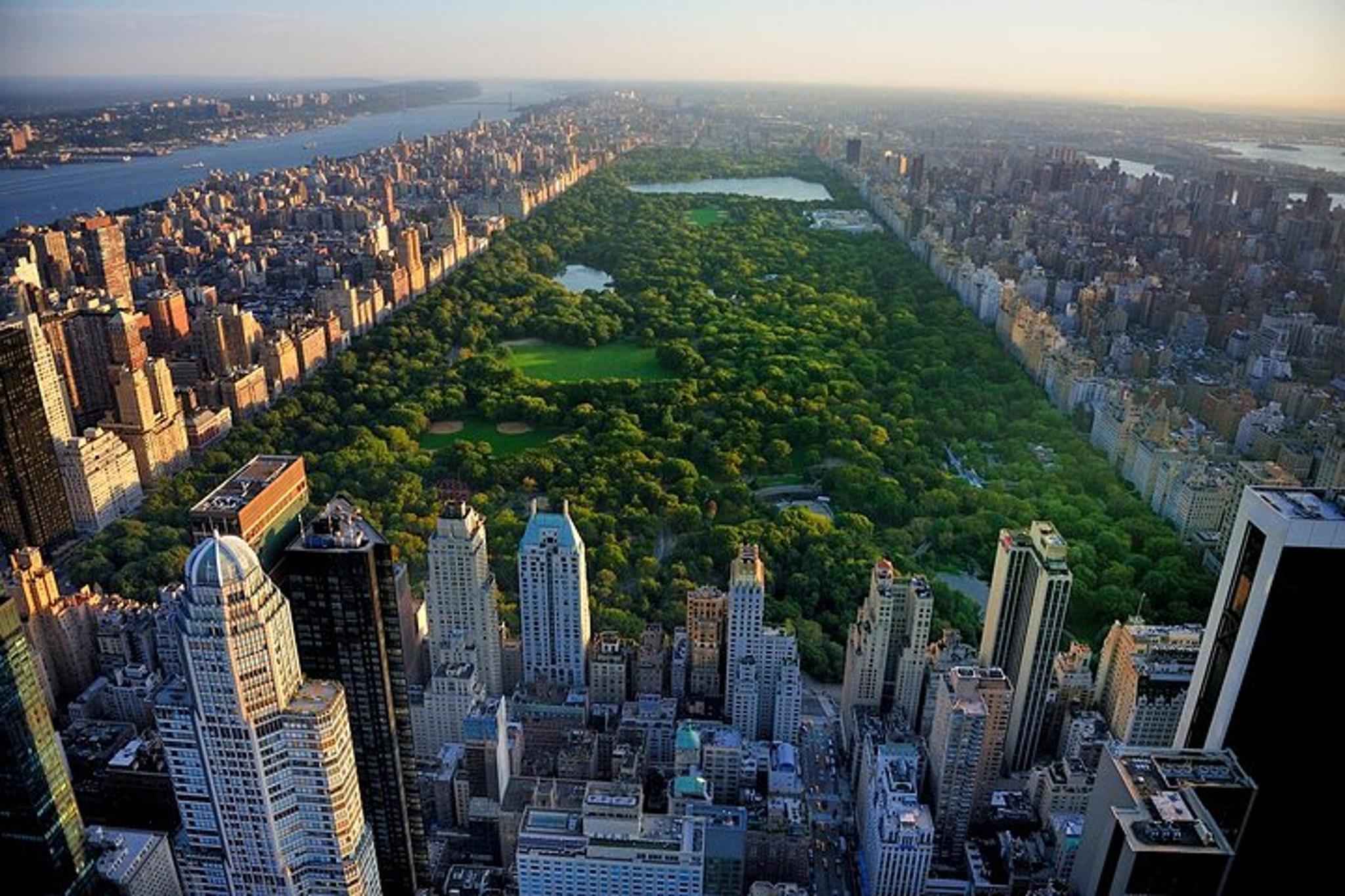 New York Private Tour from Hotels - Image 2