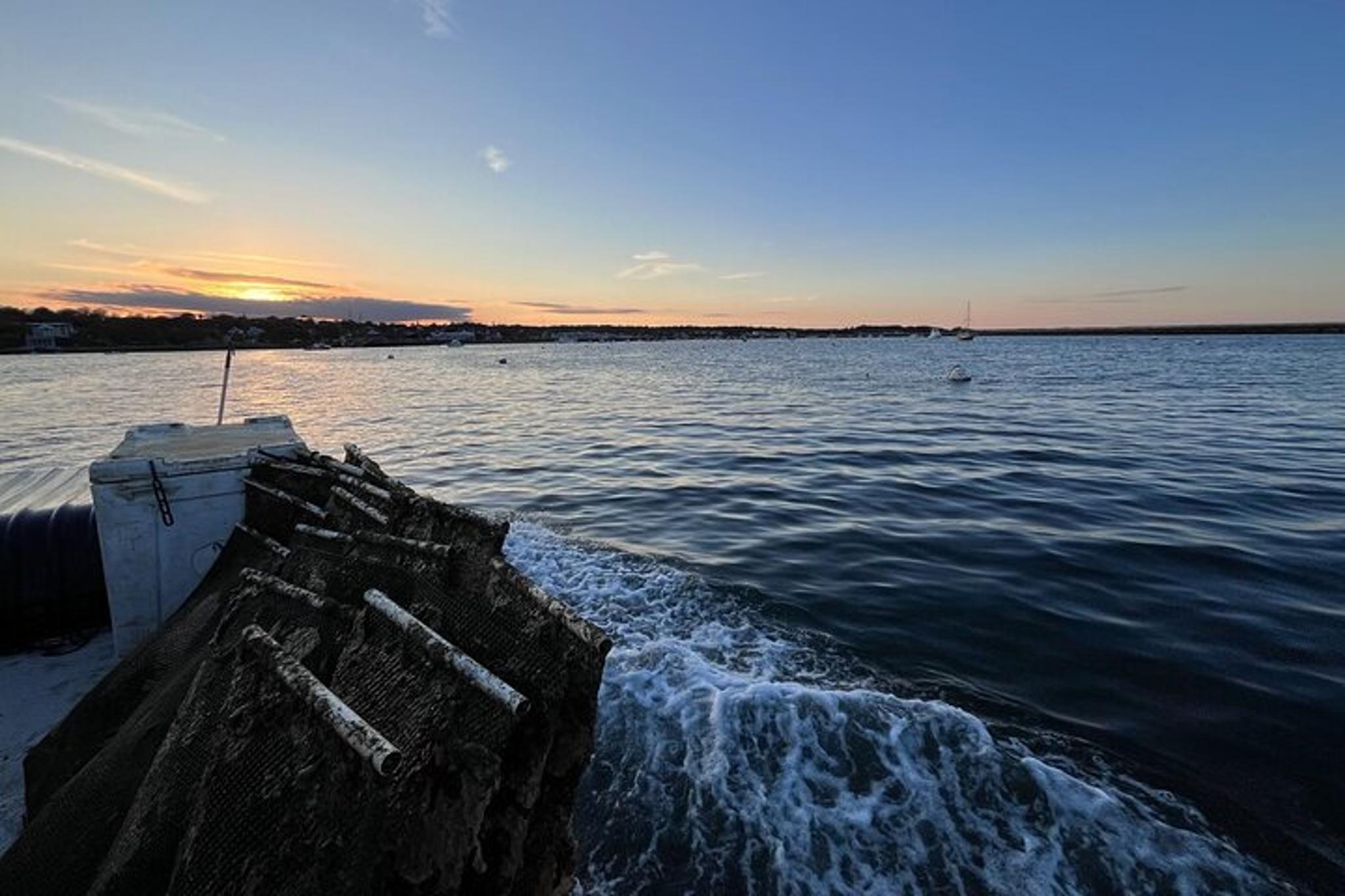 Plymouth Oyster Farm Experience - Image 6