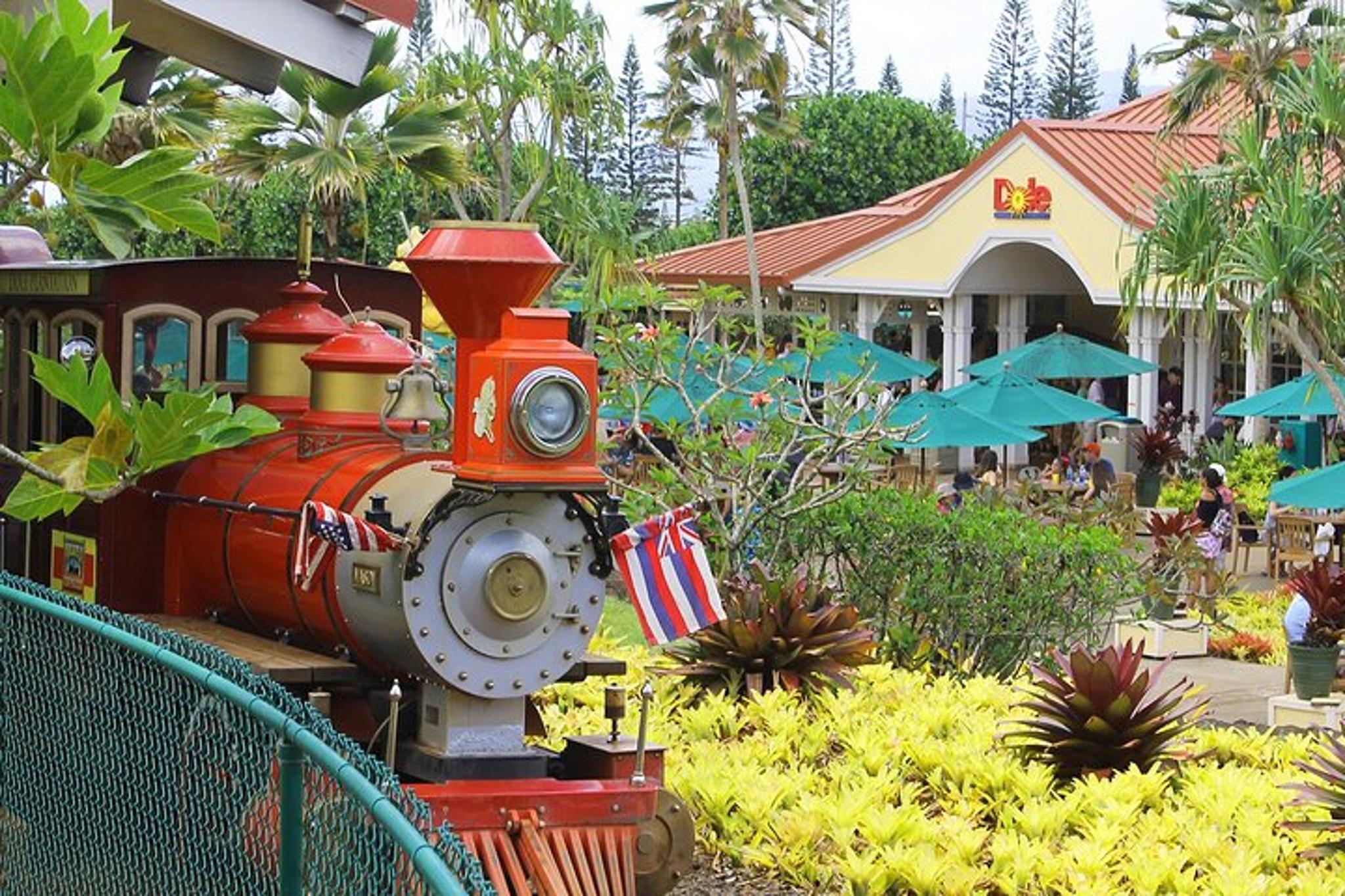 Oahu Circle Island Snorkel Tour - Image 5