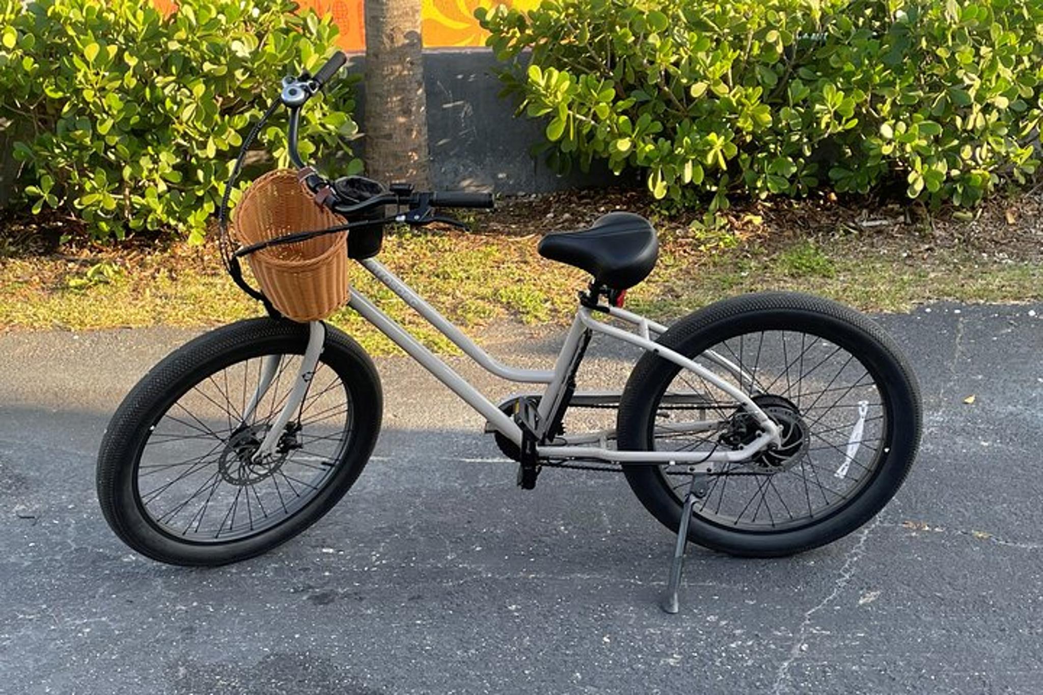 St Petersburg E-Bike Rental - Image 2