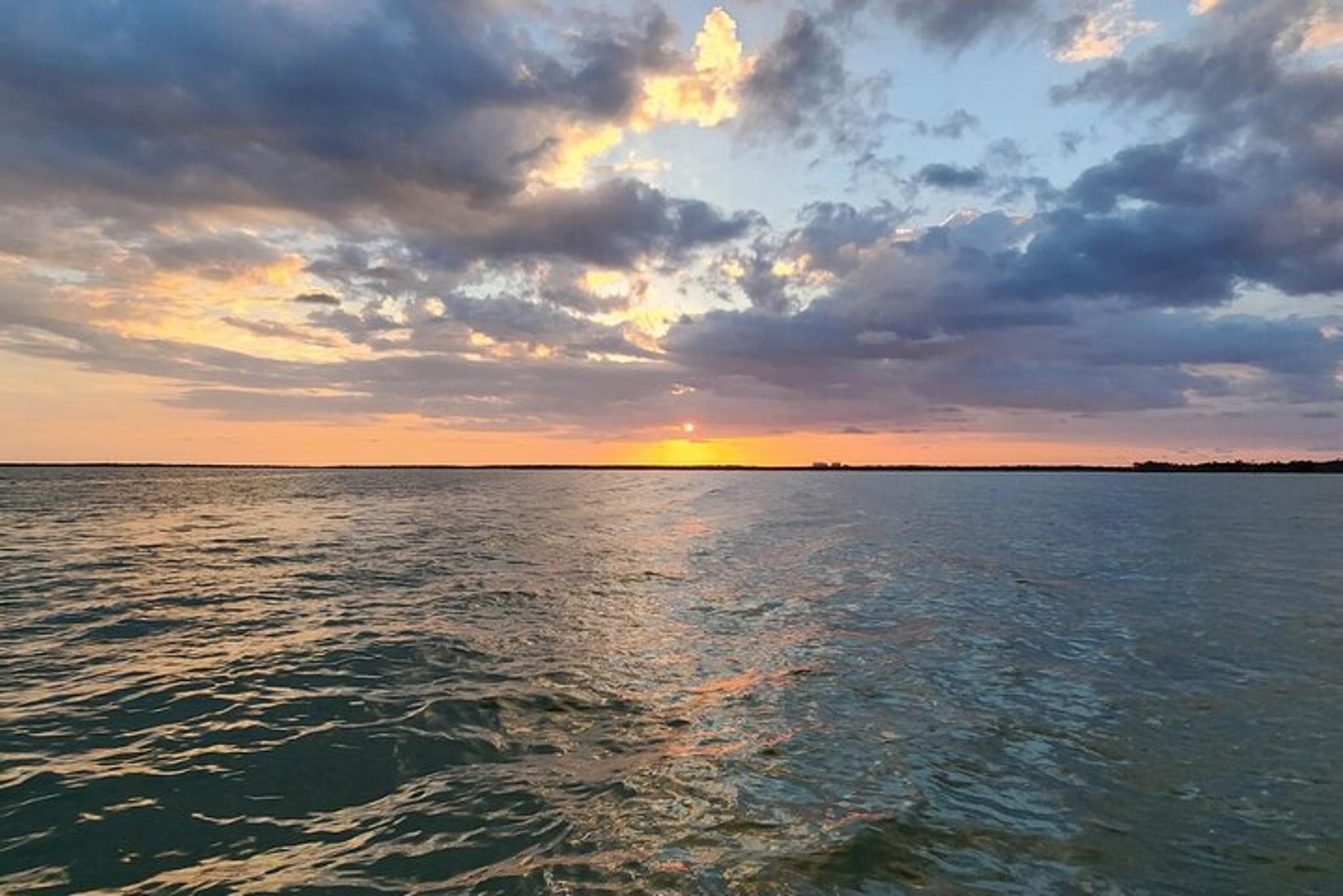 Marco Island Shelling and Dolphin EcoTour 3 hr - Image 6