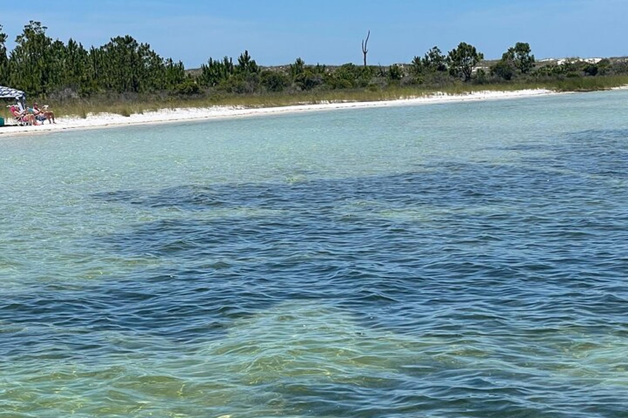 Panama City Beach Dolphin and Eco Tour - Image 3
