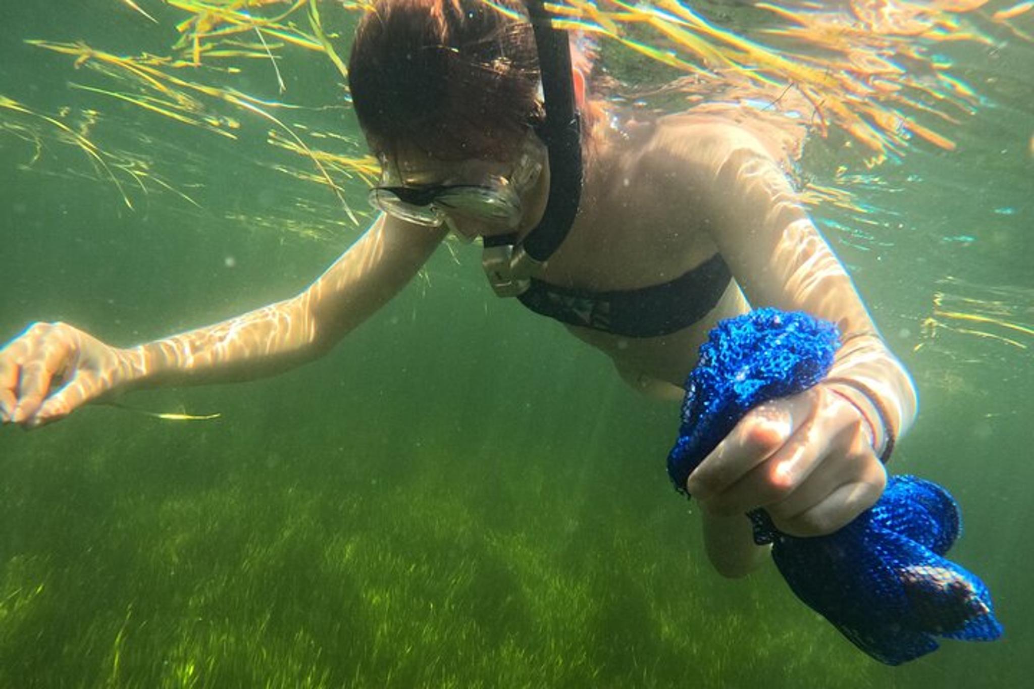 Crystal River Scalloping Charter 5 hr - Image 2