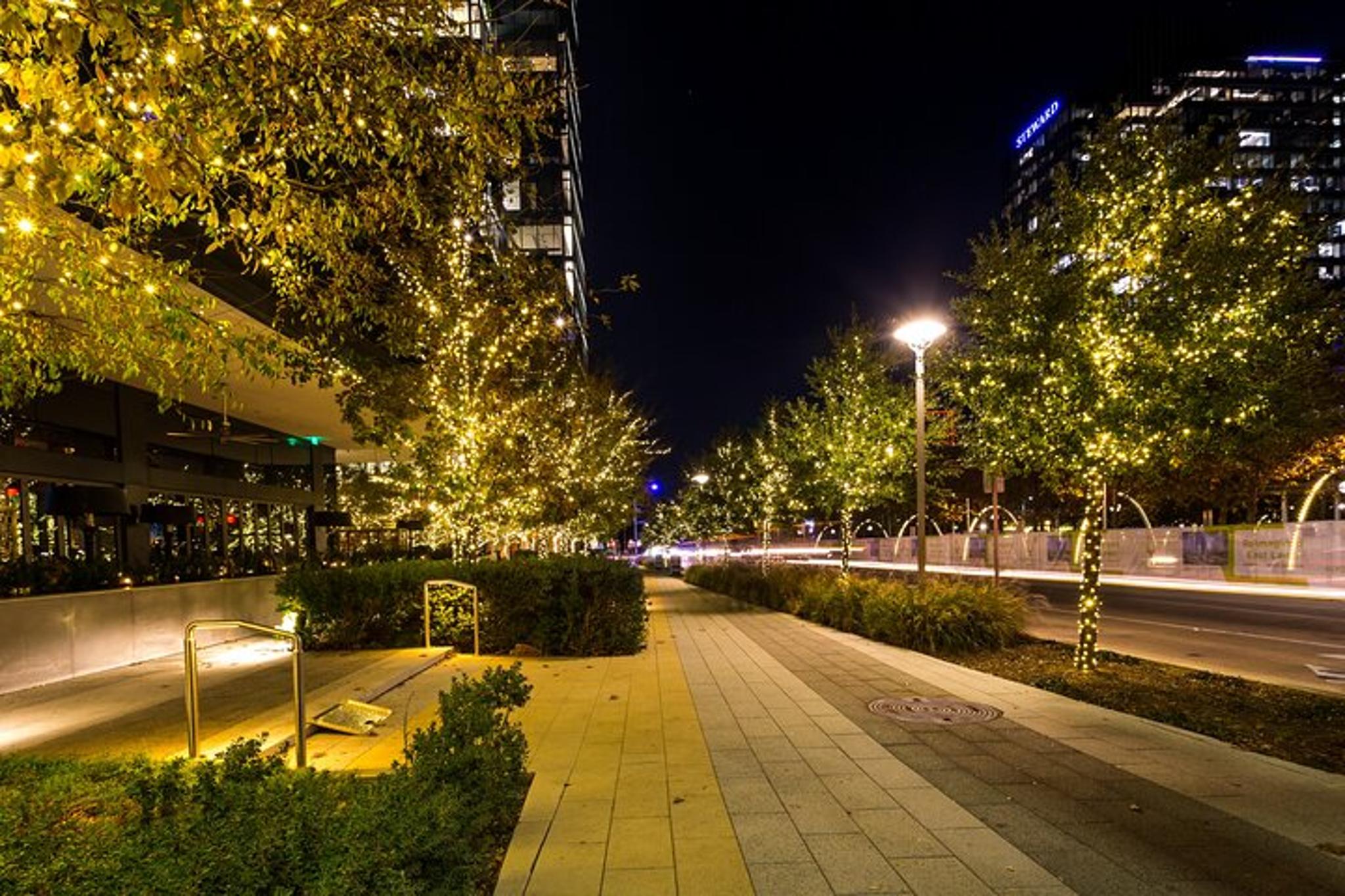 Dallas Holiday Dining Experience - Image 6