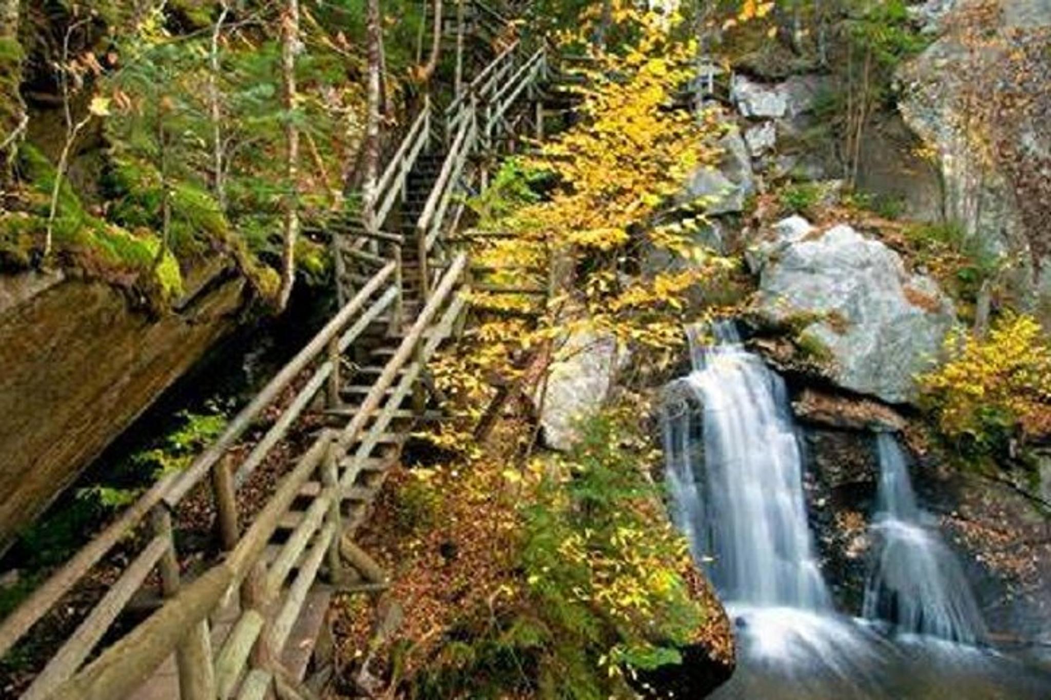 Boston Fall Foliage Day Trip to White Mountains - Image 3