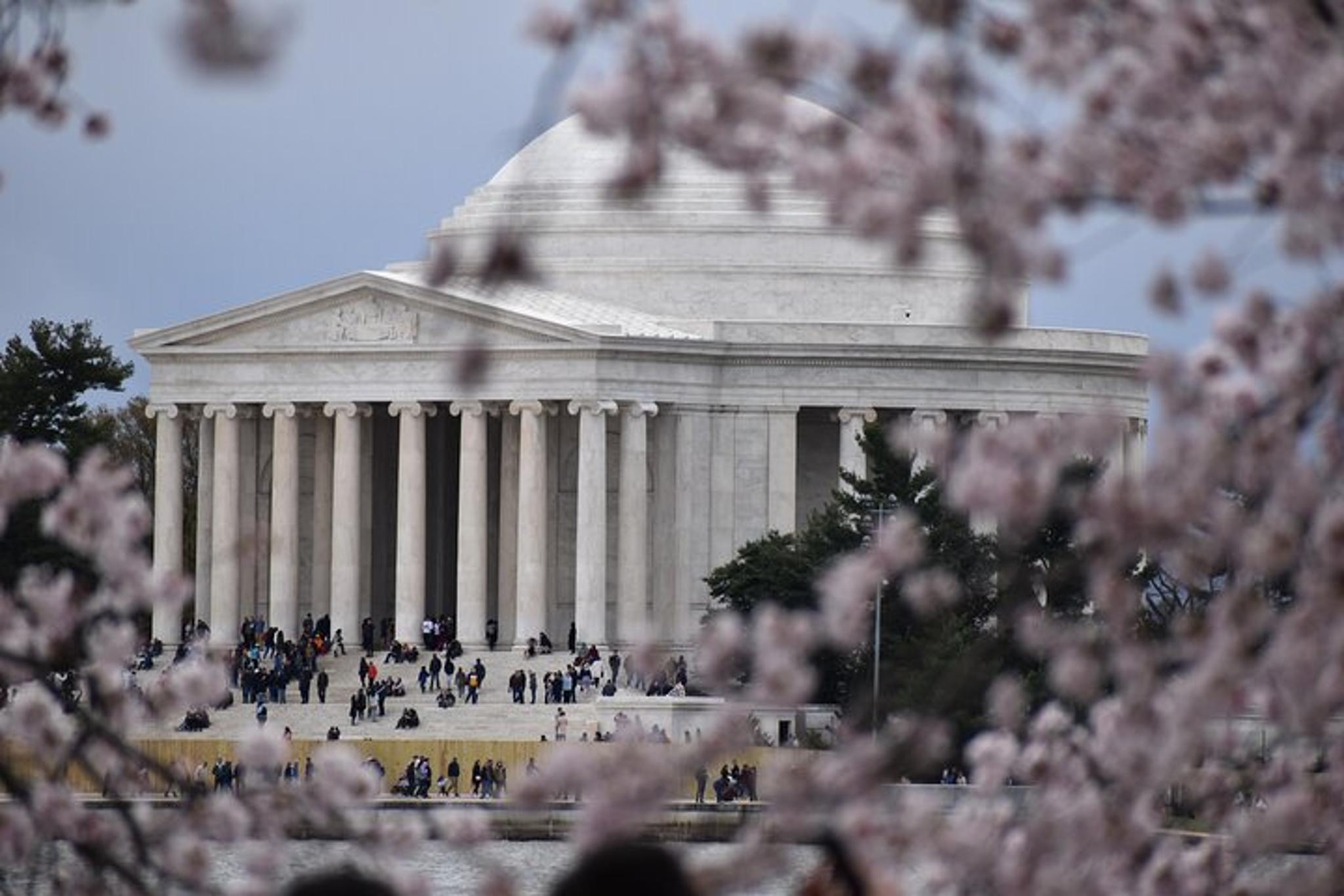 Washington DC Cherry Blossom Bus Tour