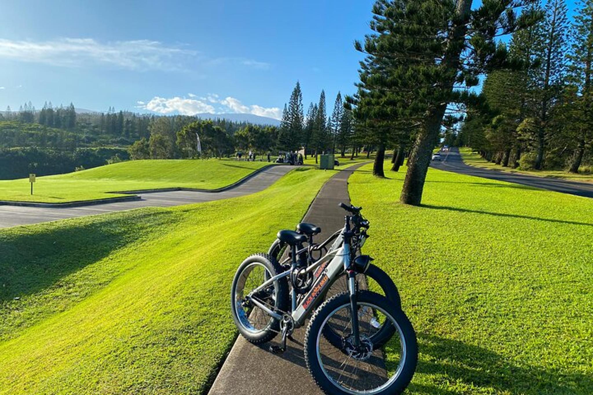 Maui Electric Bike Rentals - Image 3