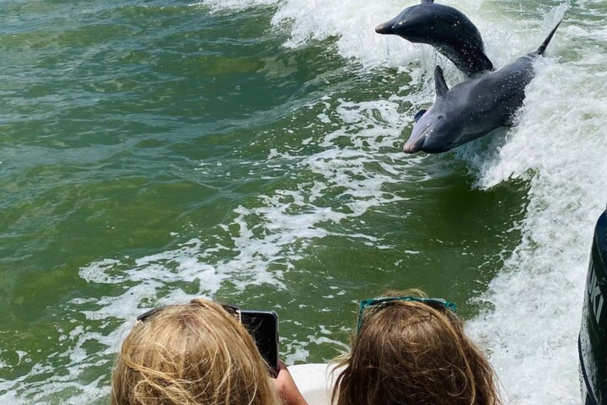 Marco Island and 10,000 Islands Dolphin Tour