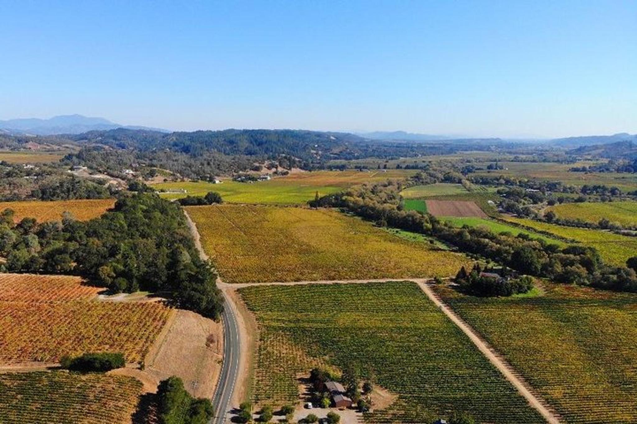 San Francisco Russian River Valley Wine Tour - Image 2