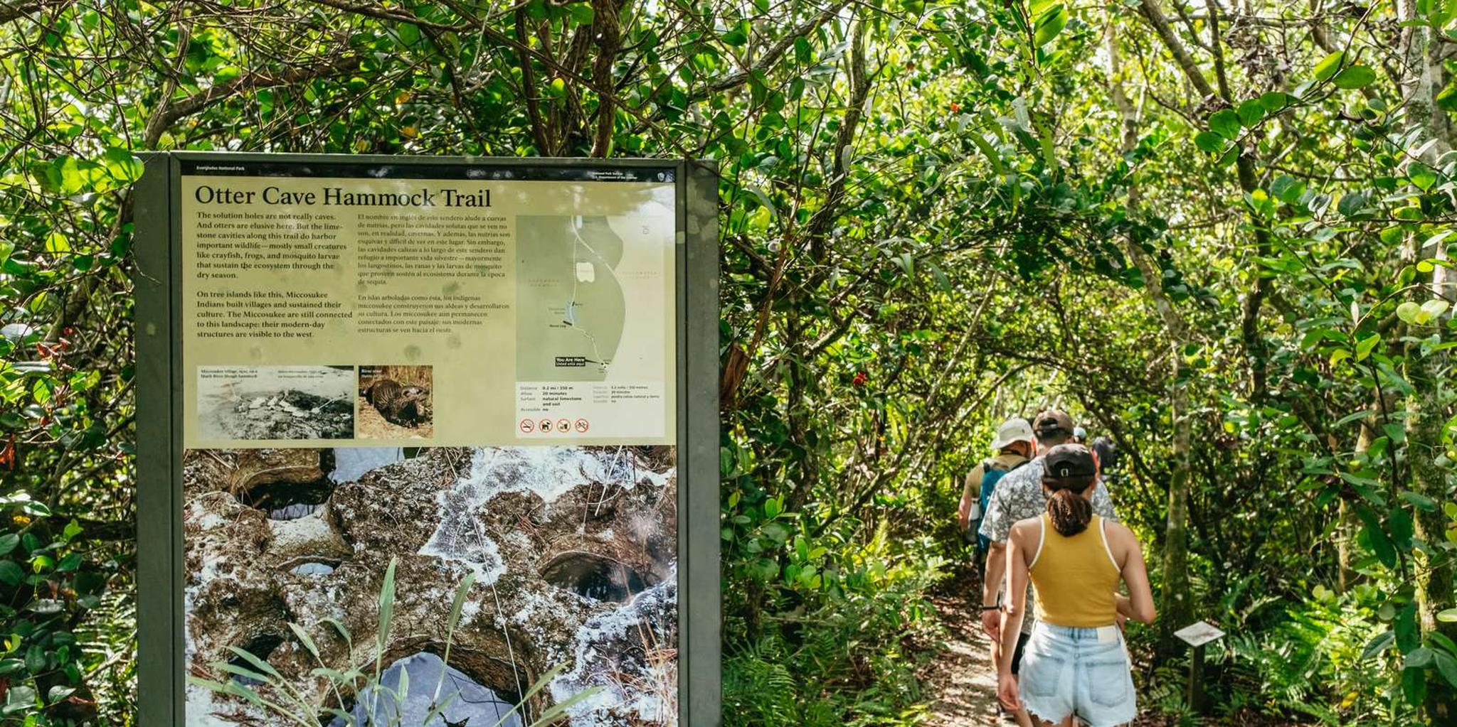 Miami Everglades Airboat Ride and Nature Walk - Image 2