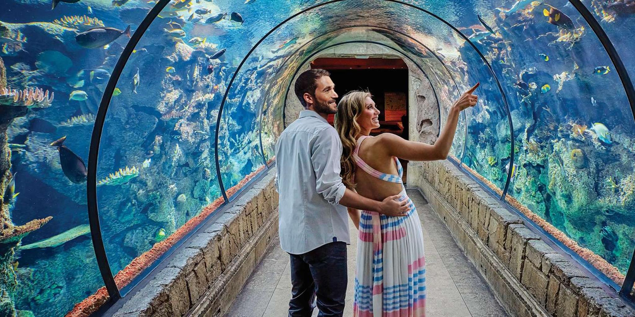 Las Vegas Shark Reef Aquarium Entry - Image 3