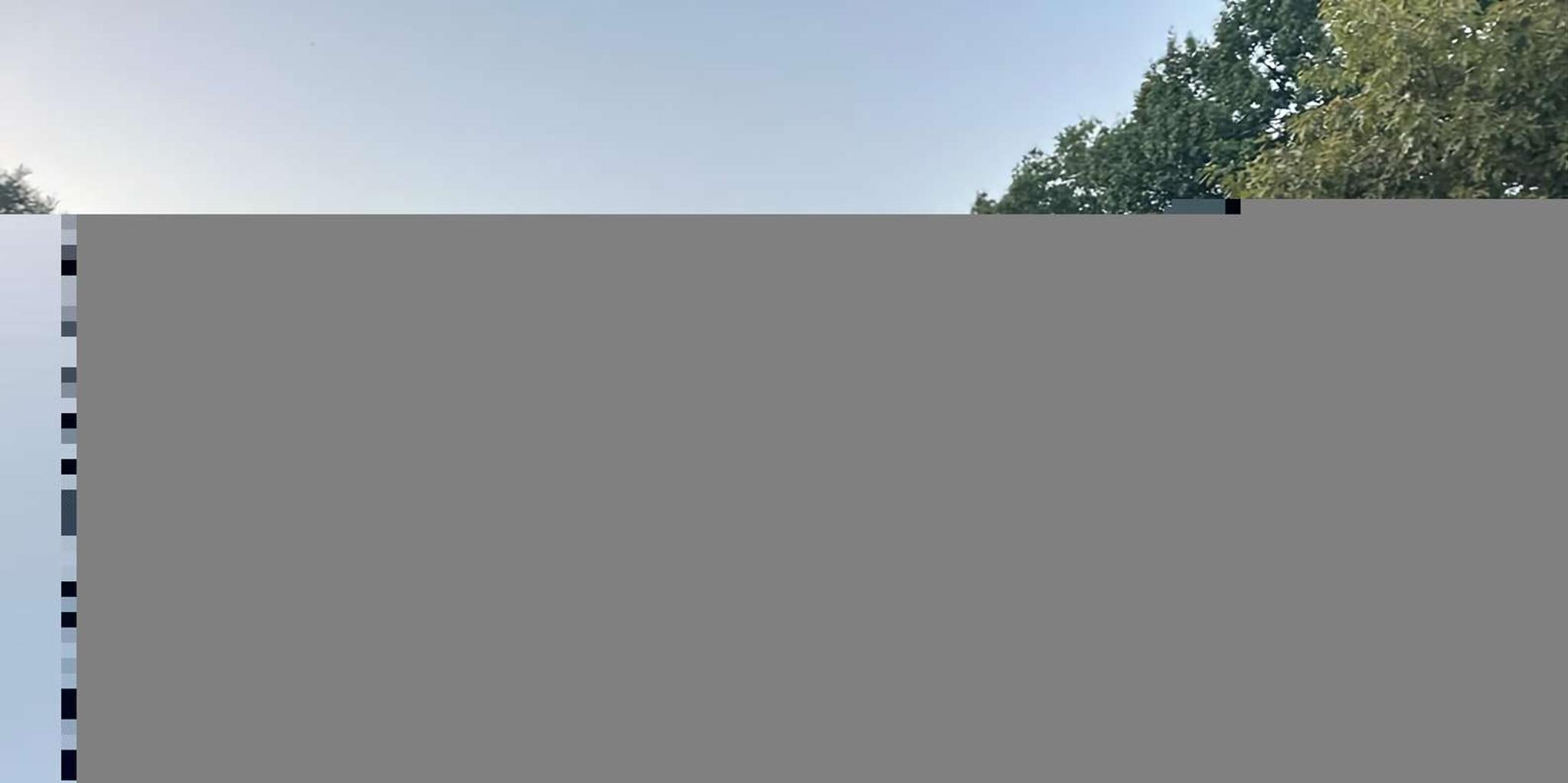 New York Horse Carriage Ride in Central Park 45 Min - Image 5