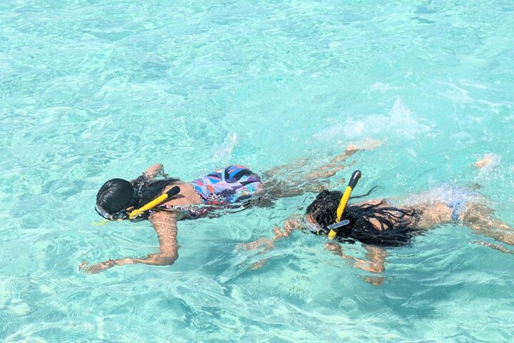 Destin Pontoon Tour to Crab Island - Image 2