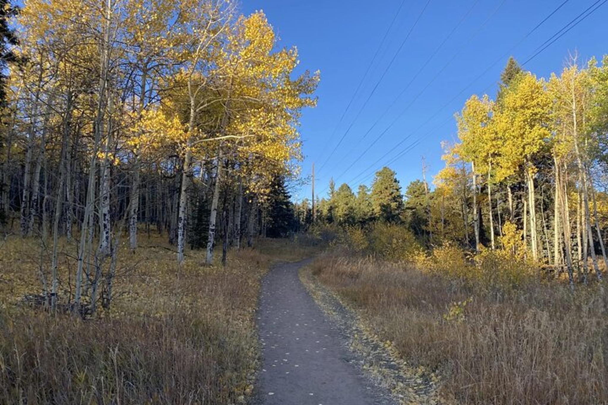 Colorado Fall Foliage Hike Legault Mountain - Image 2