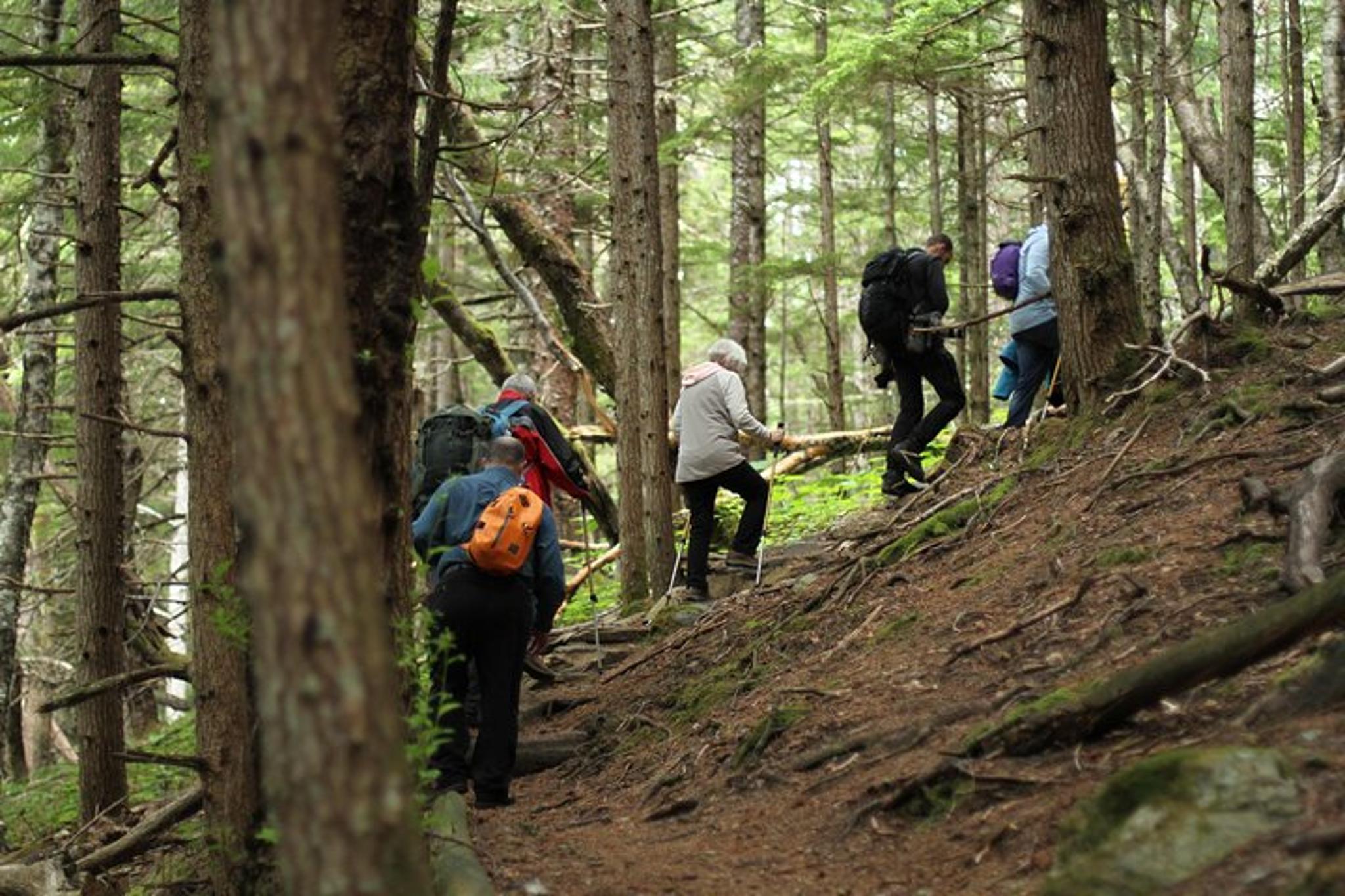 Haines Coastal Hike - Image 5