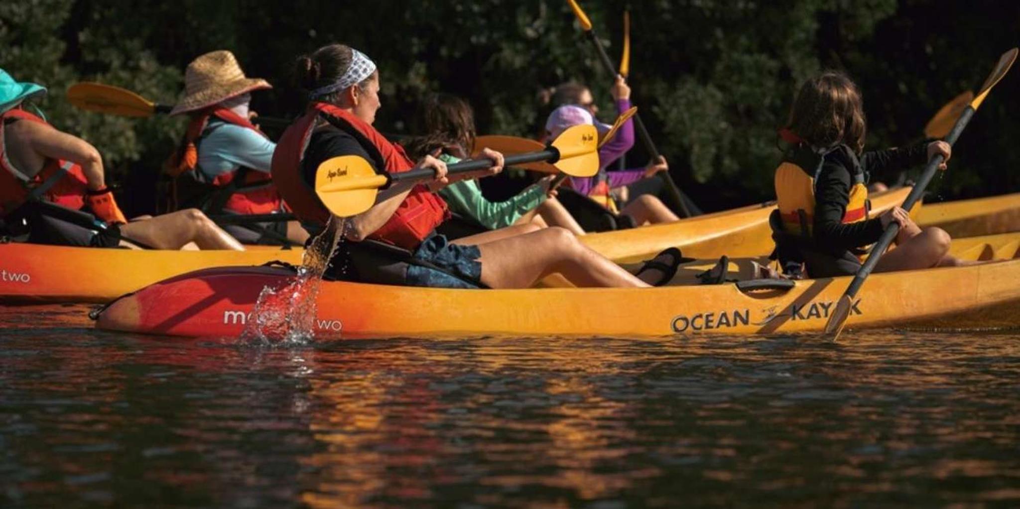 North Miami Beach Eco Kayak or Paddleboard Tour