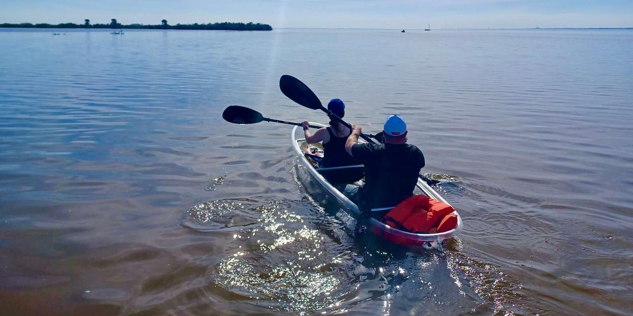 Orlando Dolphin Kayak or Paddleboard Adventure - Image 6