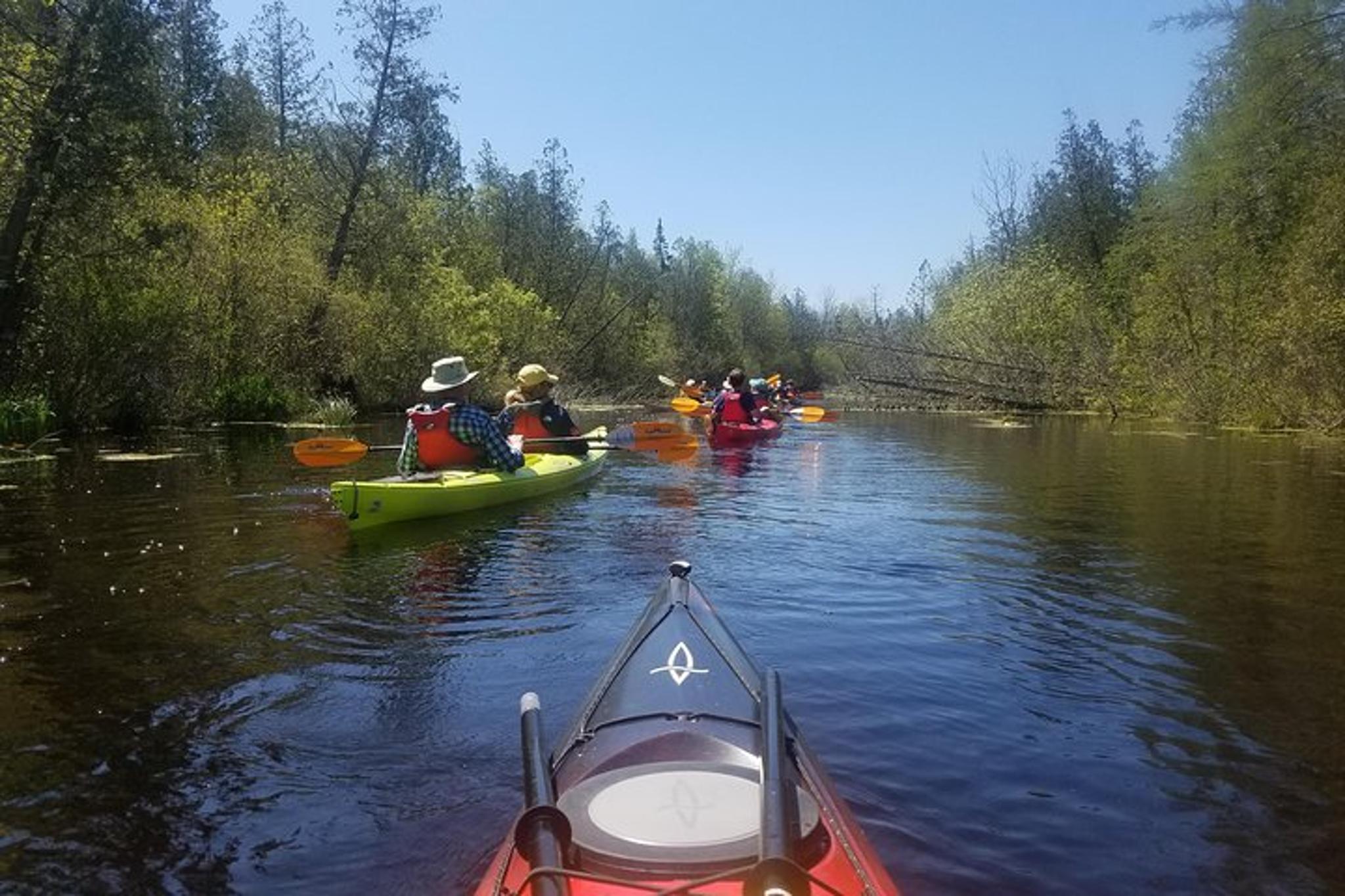 Jacksonport Wetlands Kayak Tour - Image 2