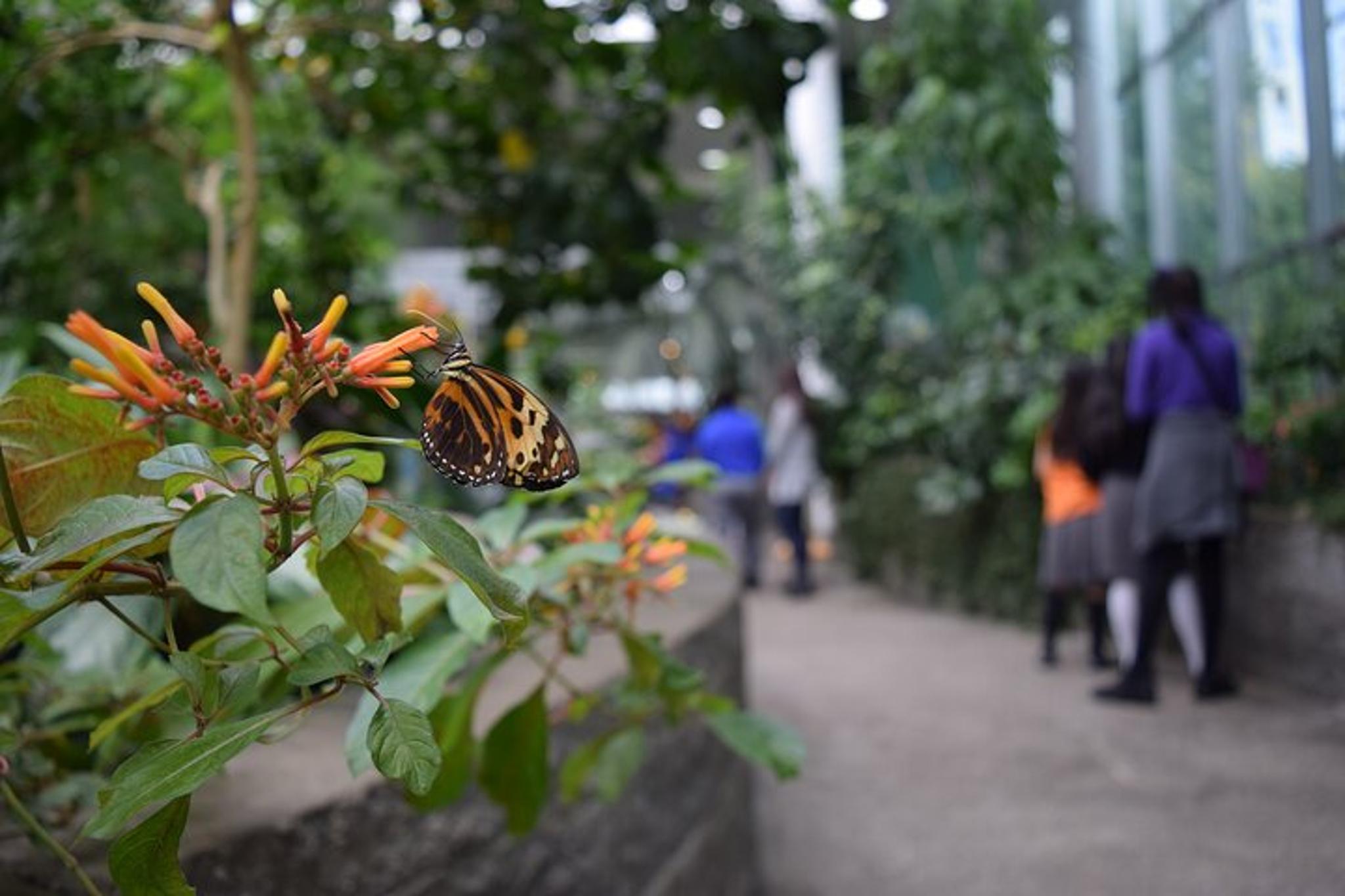 Seattle Science Center Exhibit Admission - Image 3