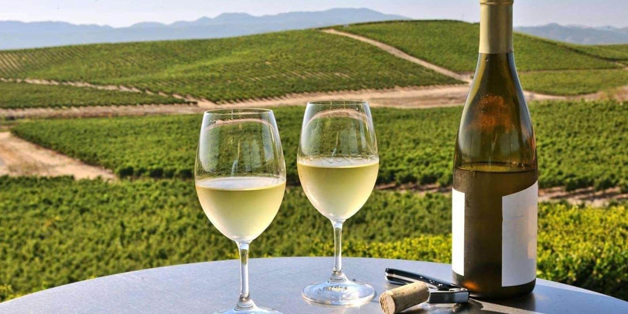 San Francisco Napa Valley Wine Tour