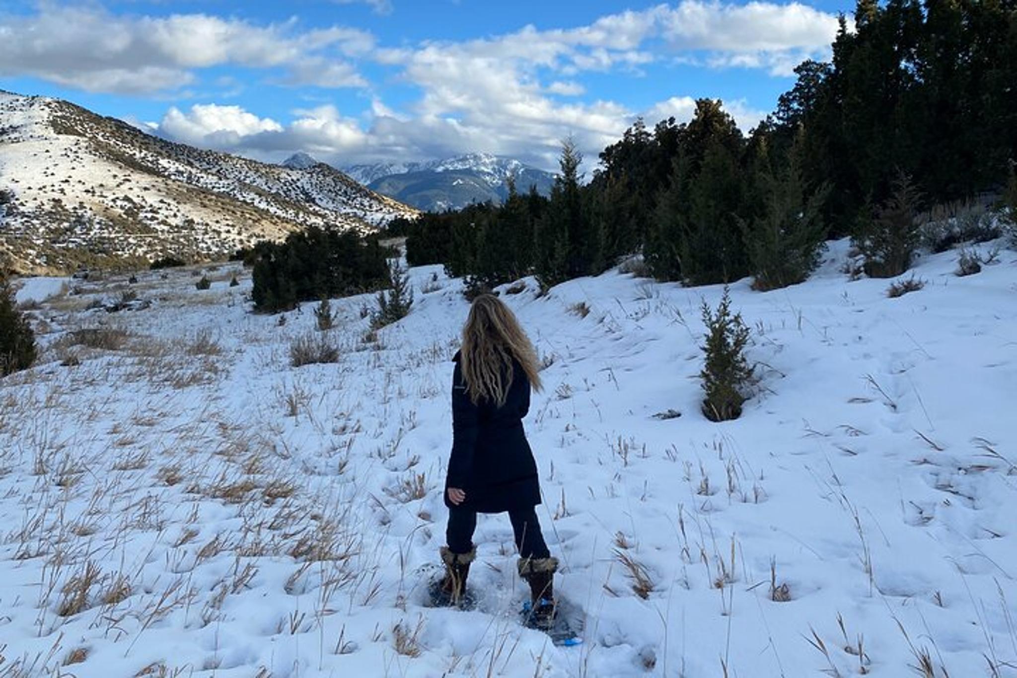 Paradise Valley Snowshoeing Tour - Image 5