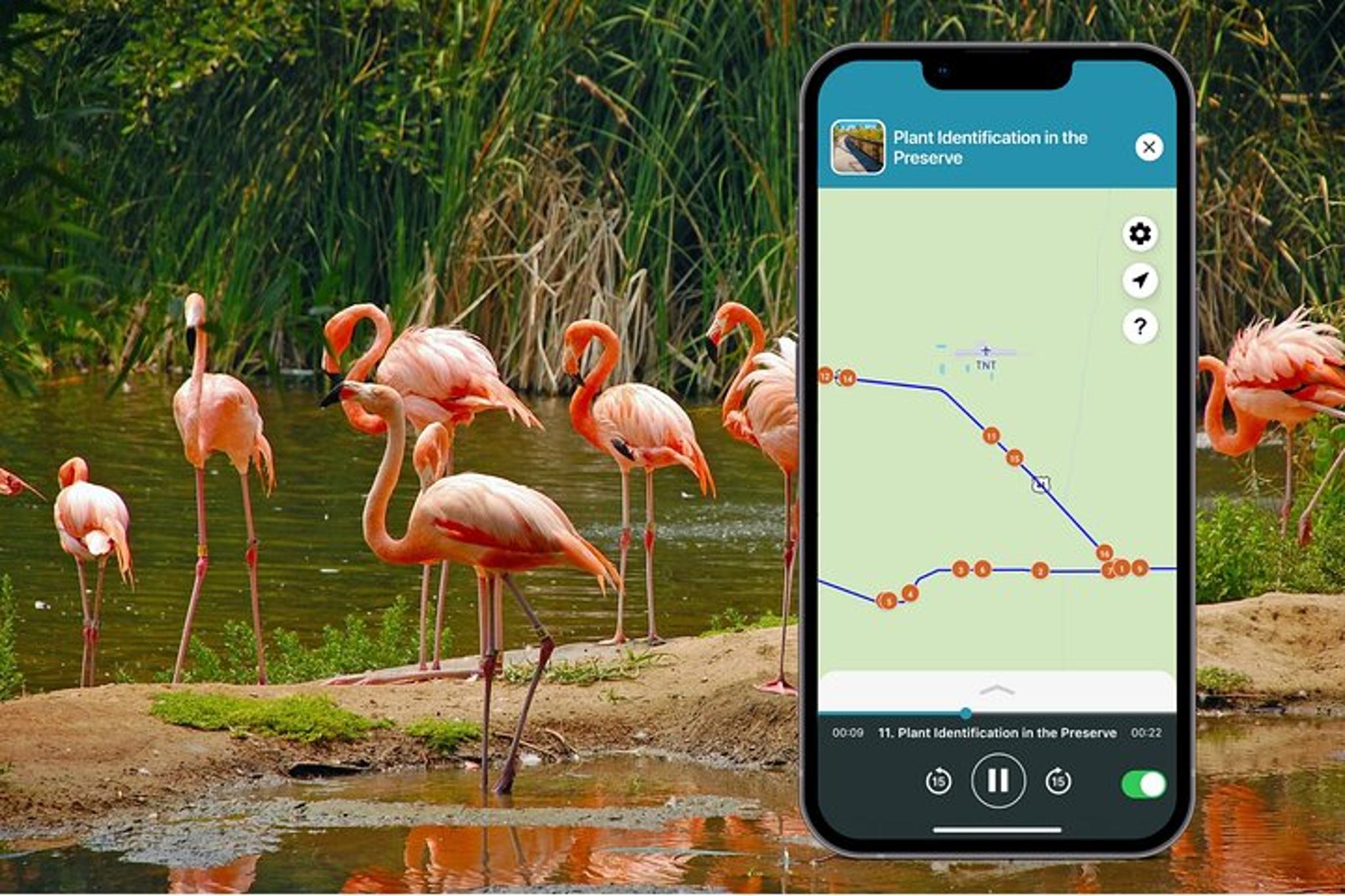 Miami Audio Tour of Big Cypress National Preserve - Image 3