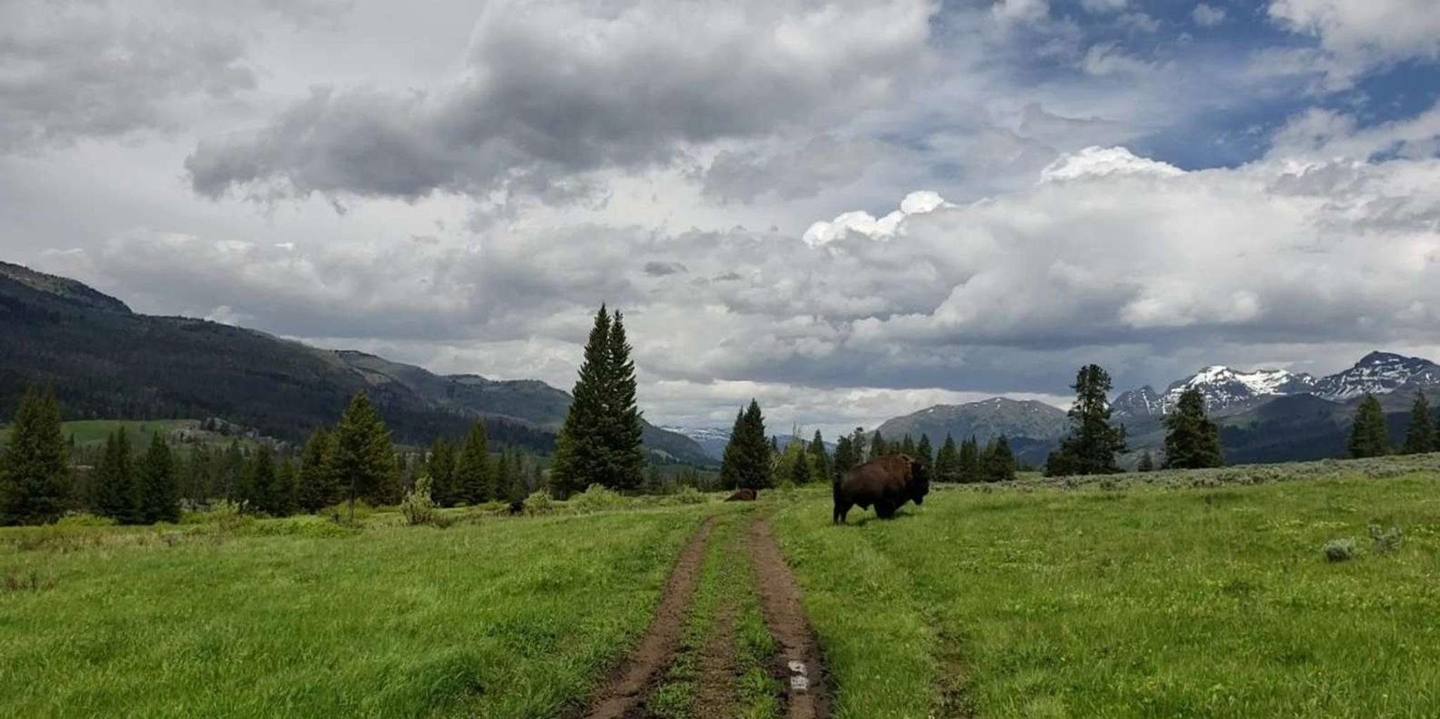 Gardiner Yellowstone National Park Guided Hike 5 hr - Image 6